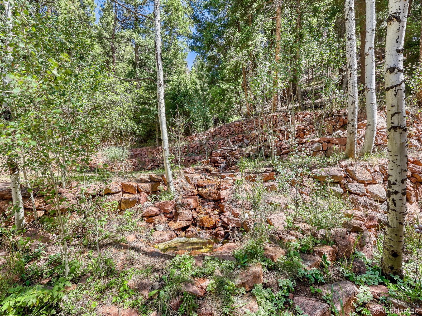 MLS Image #12 for 13314  spruce creek circle,larkspur, Colorado
