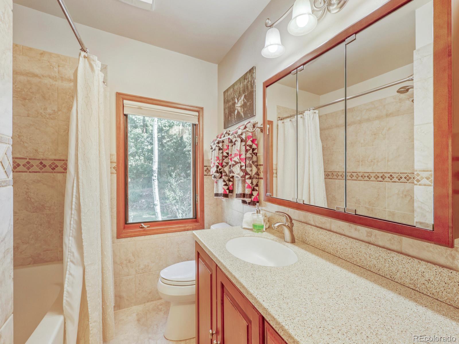 MLS Image #16 for 13314  spruce creek circle,larkspur, Colorado