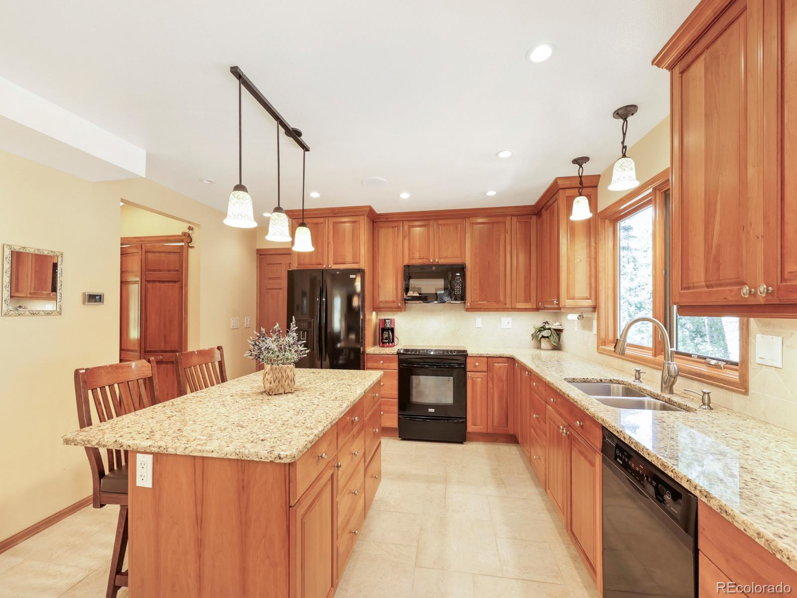 MLS Image #2 for 13314  spruce creek circle,larkspur, Colorado