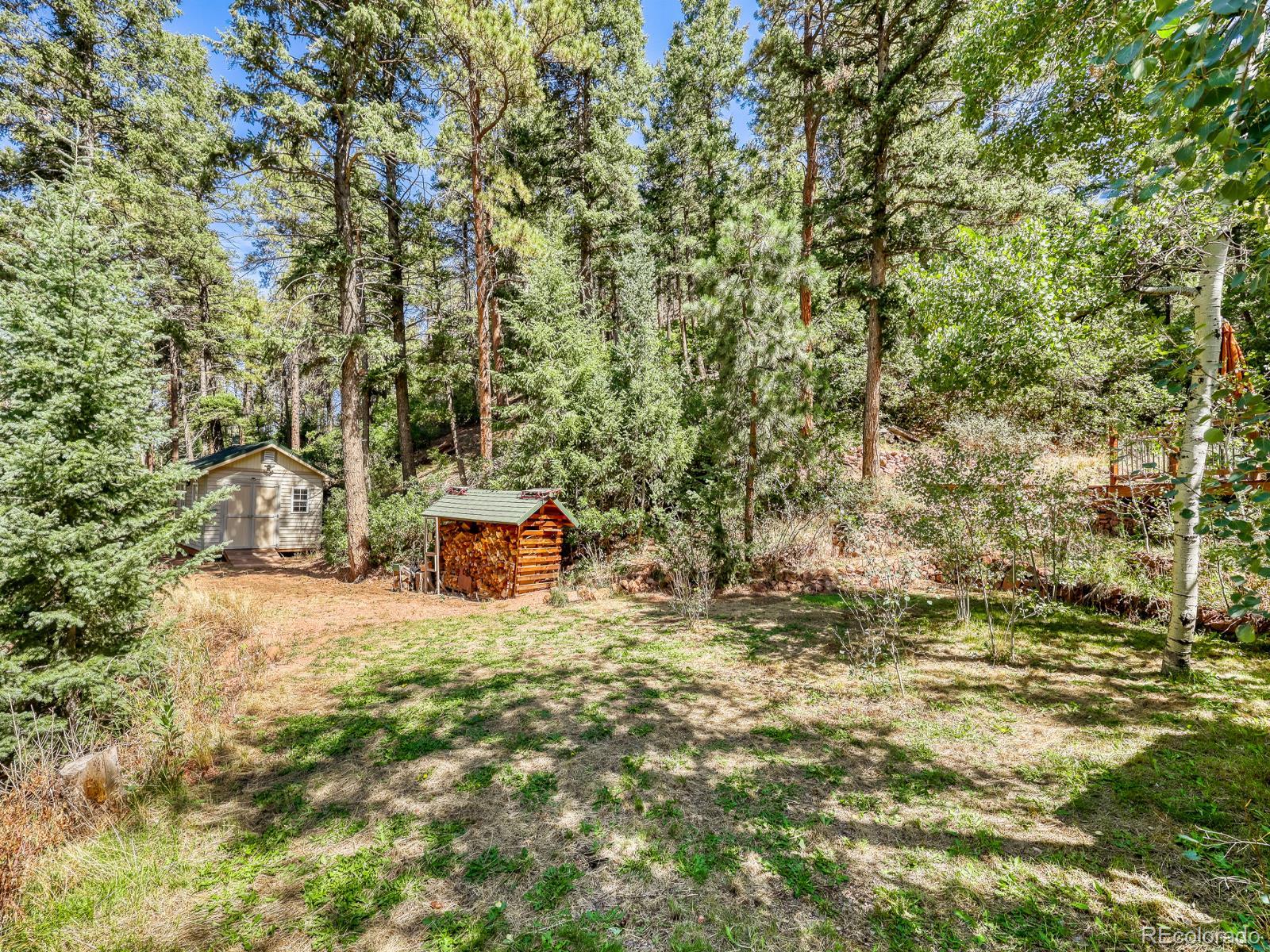 MLS Image #22 for 13314  spruce creek circle,larkspur, Colorado