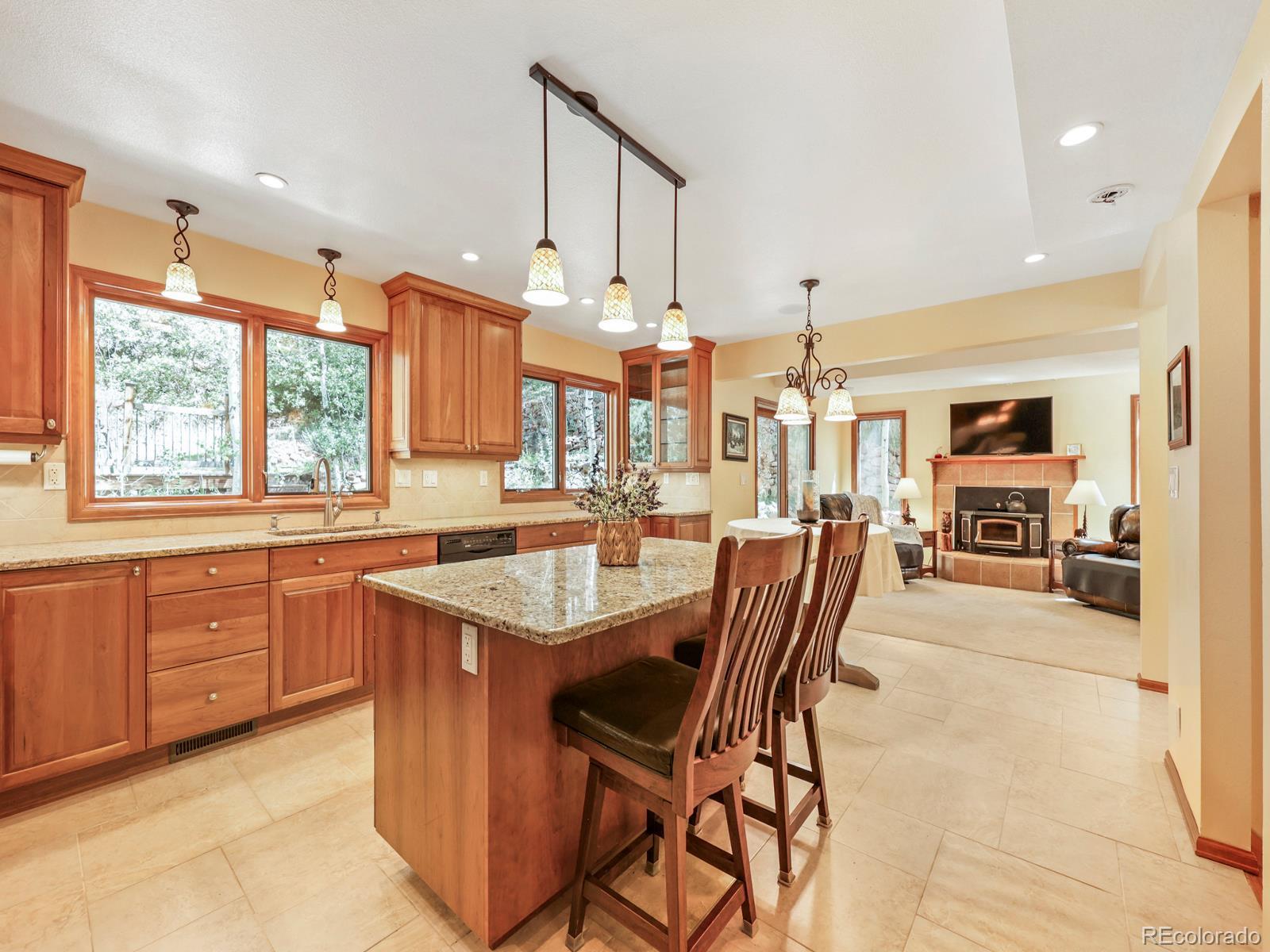 MLS Image #4 for 13314  spruce creek circle,larkspur, Colorado