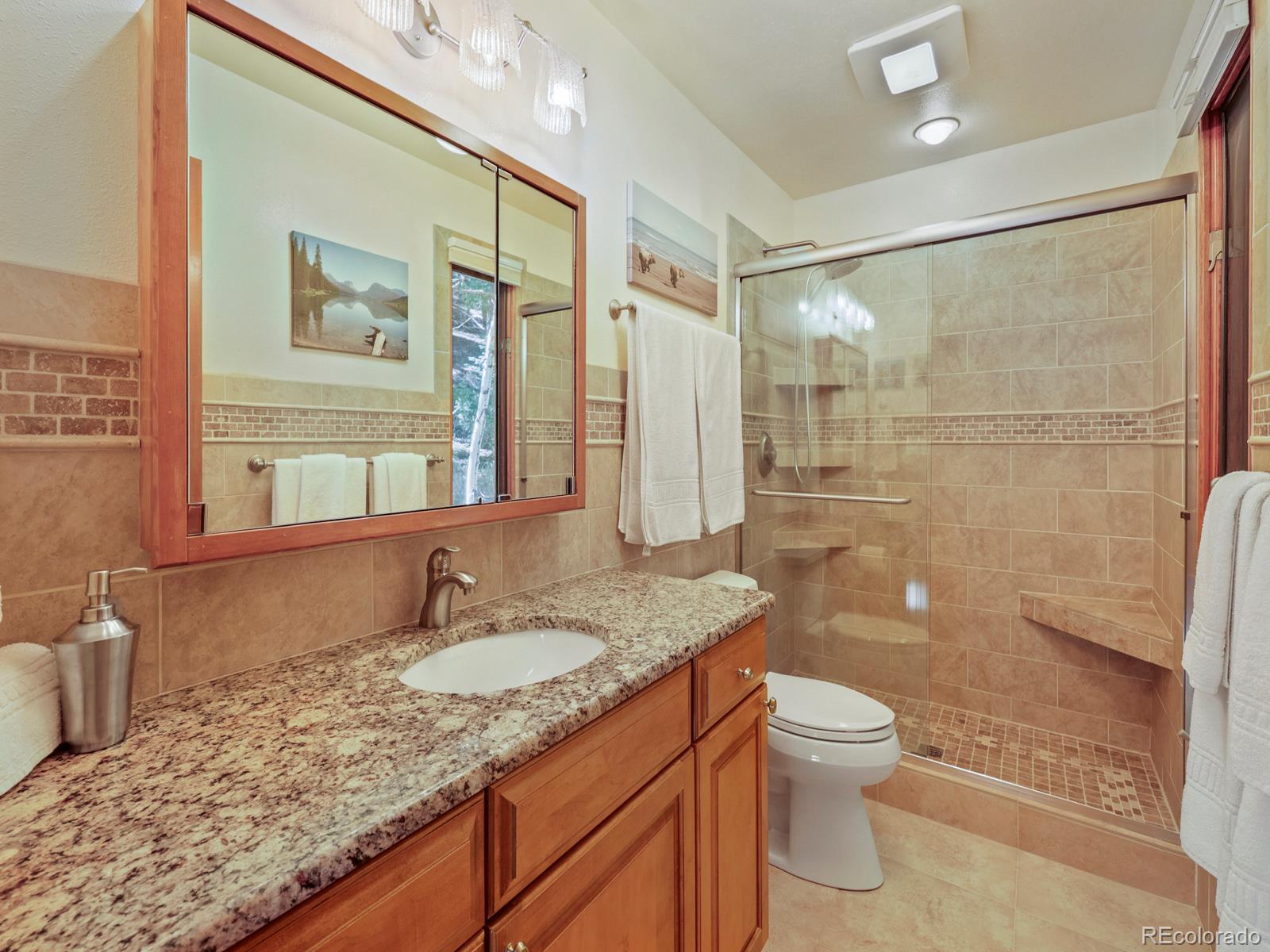 MLS Image #9 for 13314  spruce creek circle,larkspur, Colorado