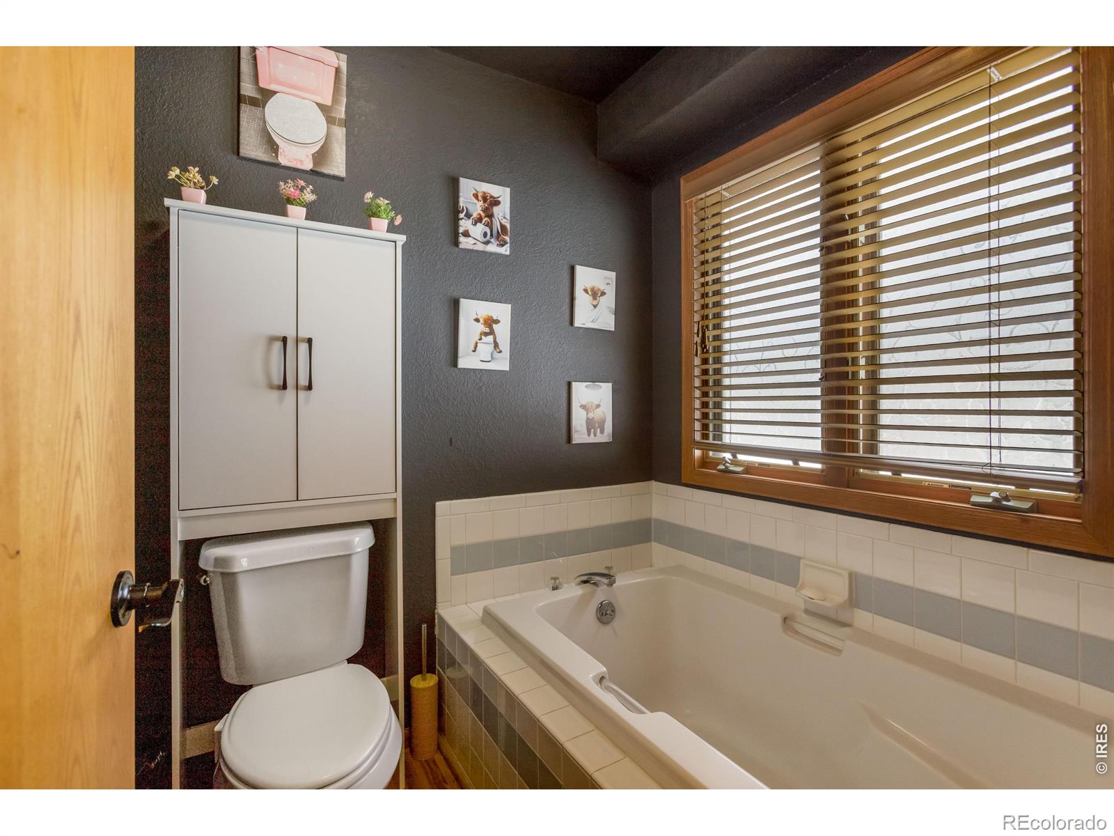 MLS Image #18 for 3312  carson avenue,evans, Colorado