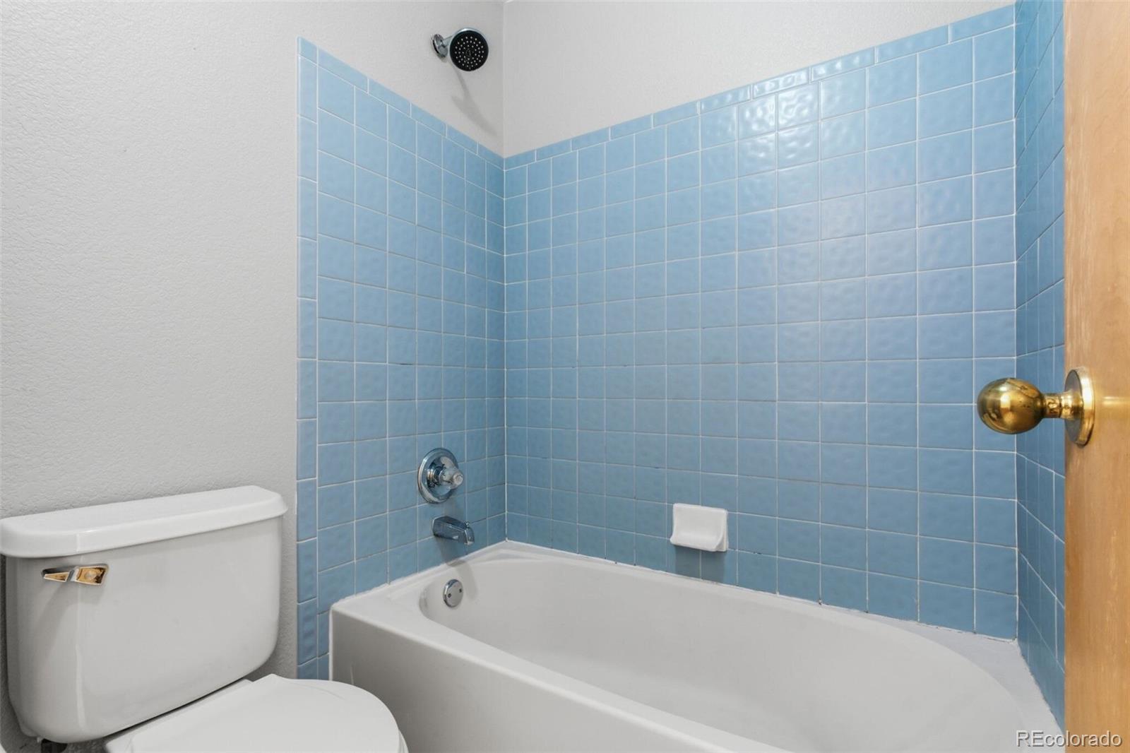 MLS Image #33 for 6559  poppy street,arvada, Colorado