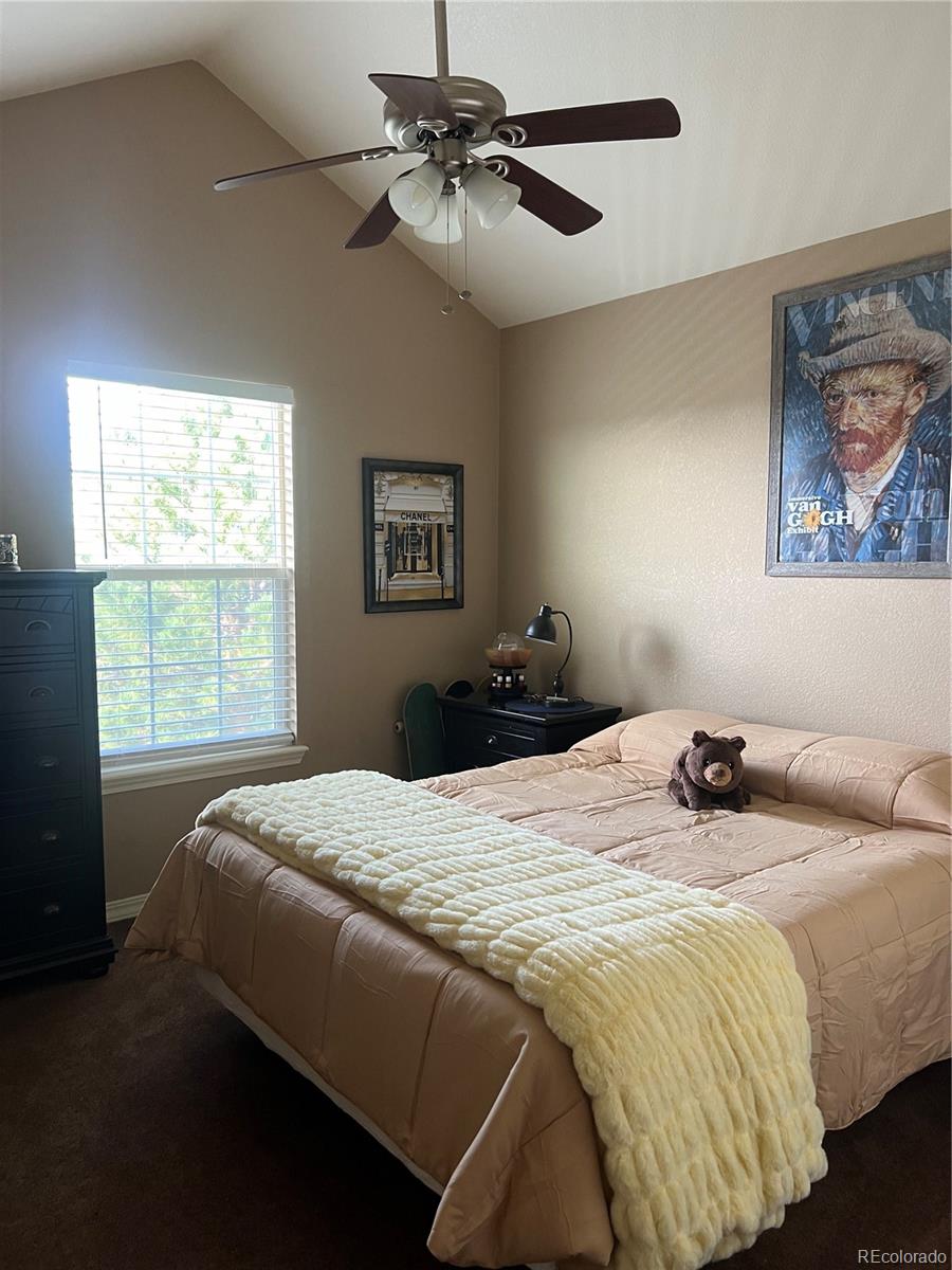 MLS Image #15 for 896  ironspur court,castle rock, Colorado