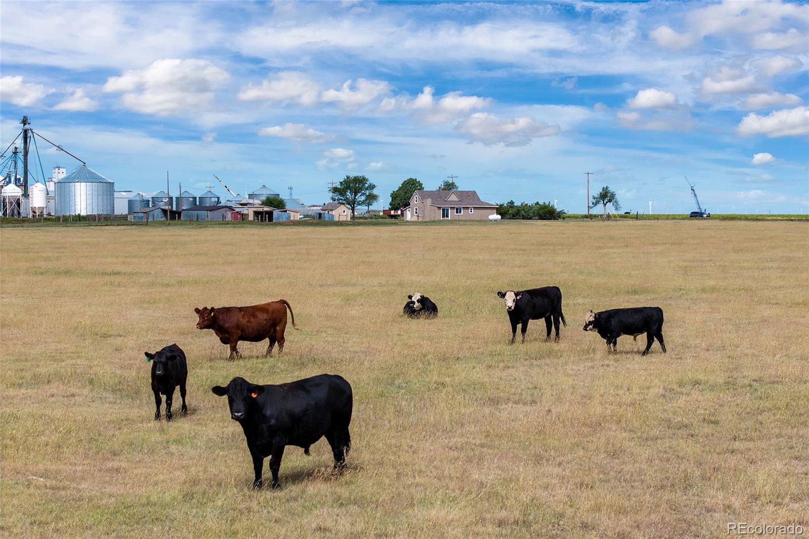 MLS Image #23 for 31556  county road 3g ,genoa, Colorado