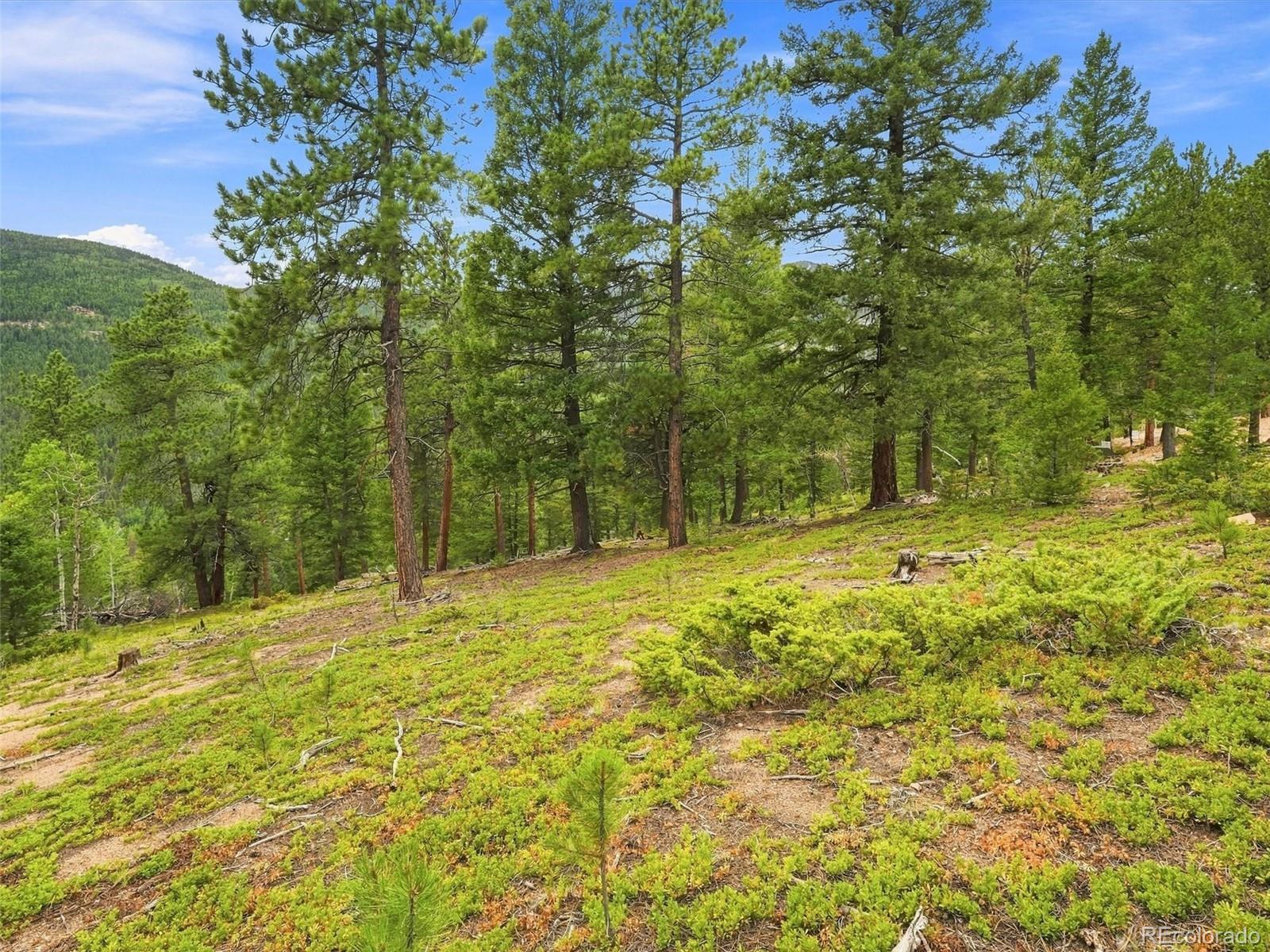 MLS Image #20 for 31084  forest shadow trail,conifer, Colorado