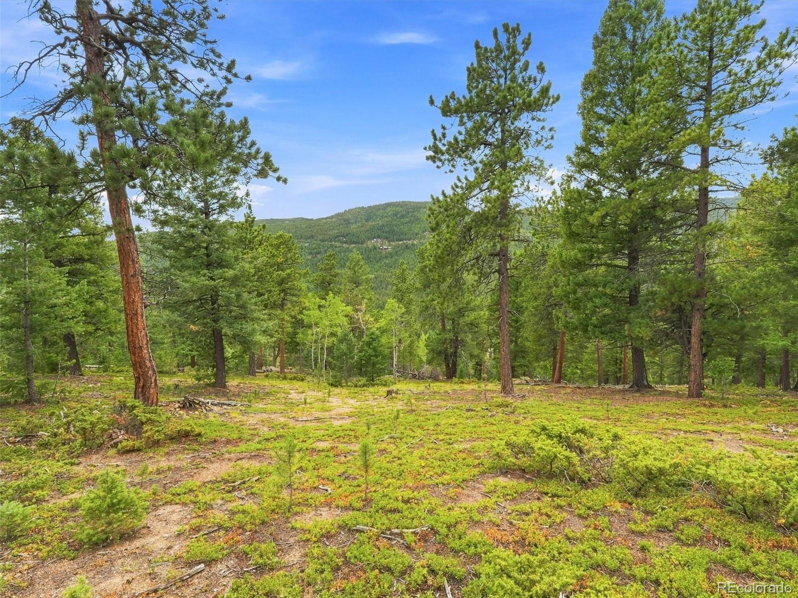 MLS Image #21 for 31084  forest shadow trail,conifer, Colorado