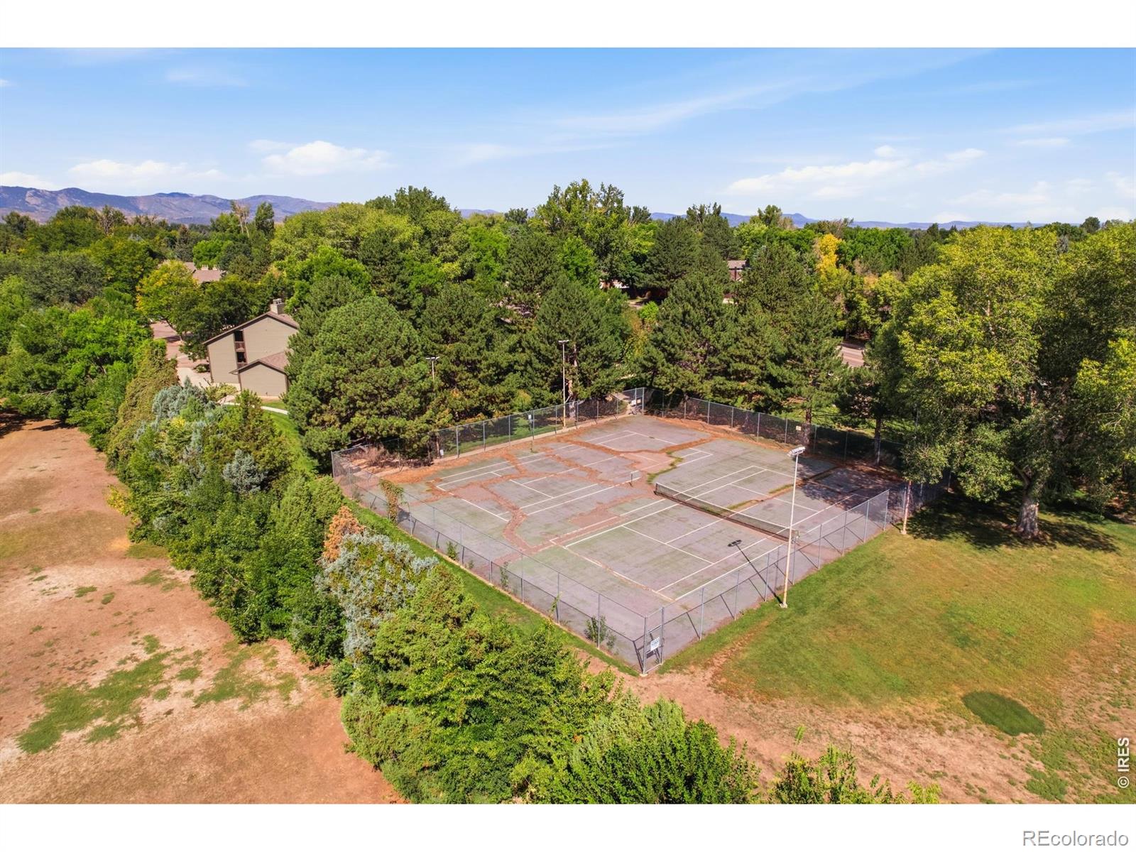 MLS Image #29 for 925  columbia road,fort collins, Colorado