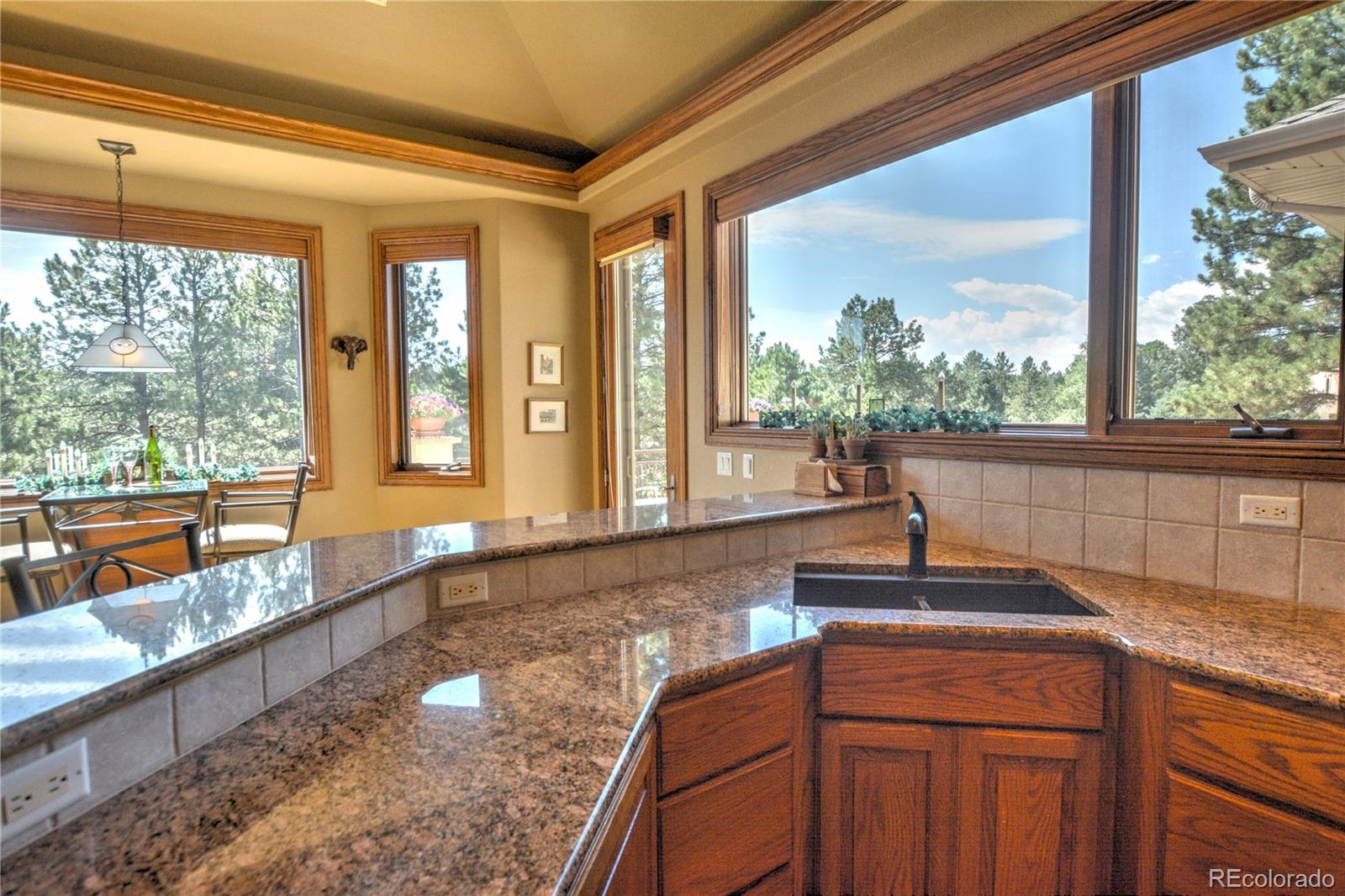 MLS Image #14 for 19315  bardsley place,monument, Colorado