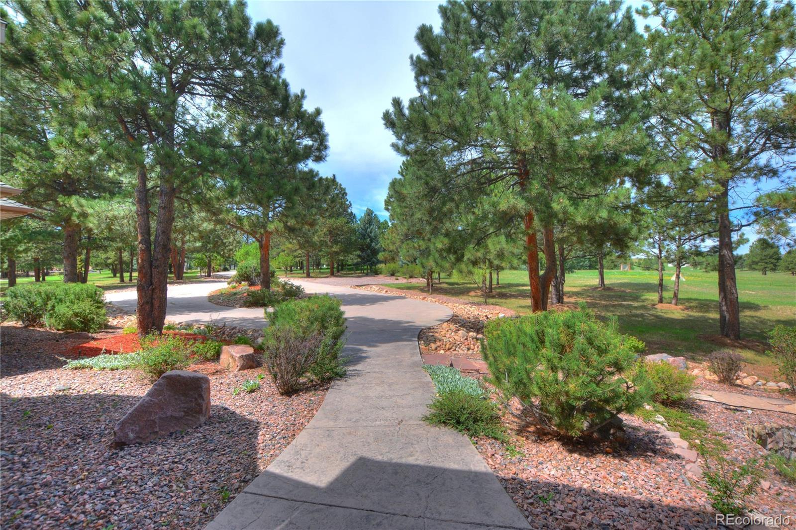 MLS Image #4 for 19315  bardsley place,monument, Colorado