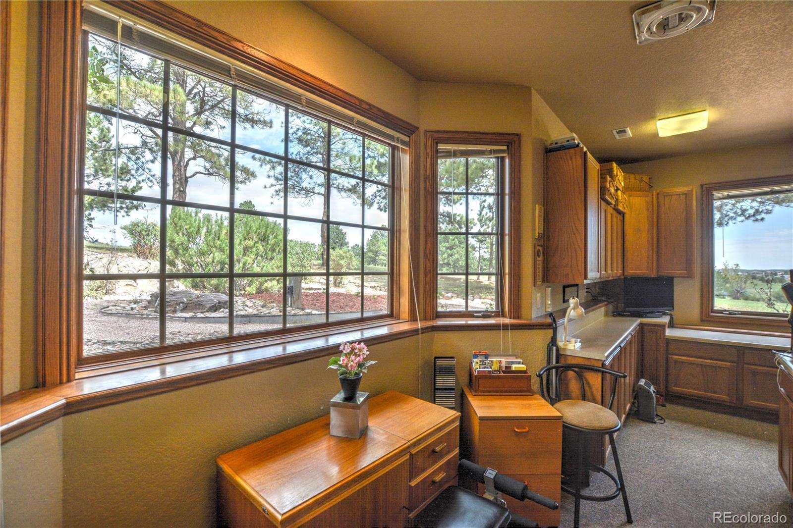 MLS Image #41 for 19315  bardsley place,monument, Colorado