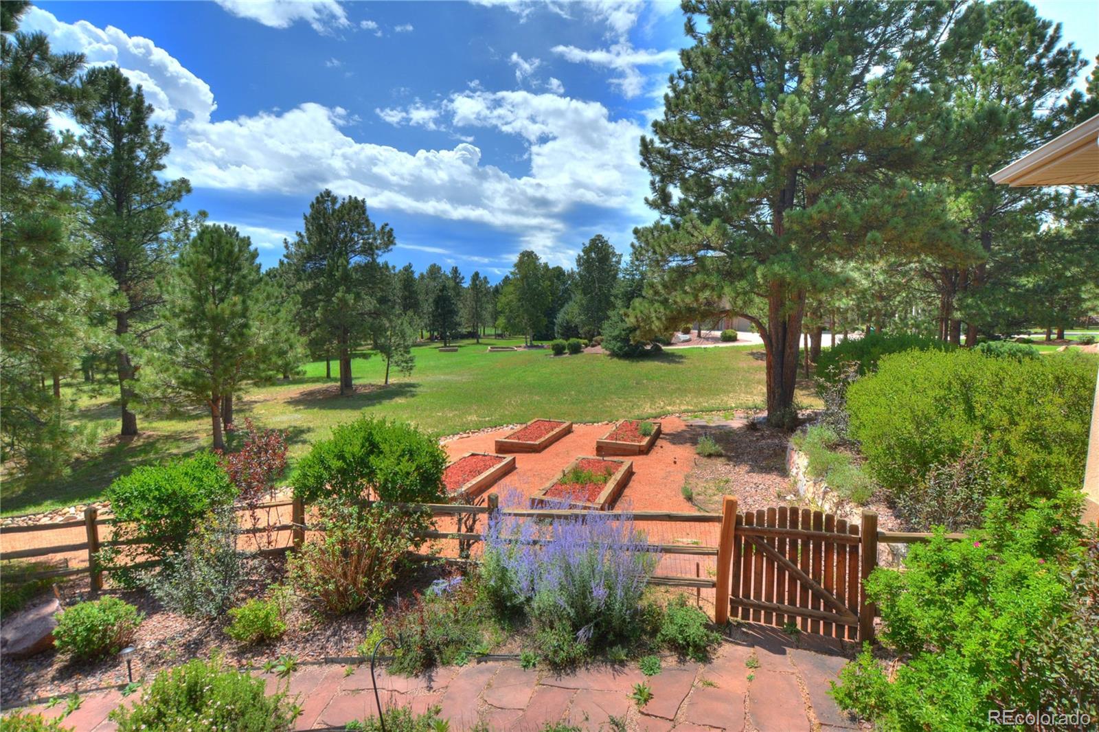 MLS Image #47 for 19315  bardsley place,monument, Colorado
