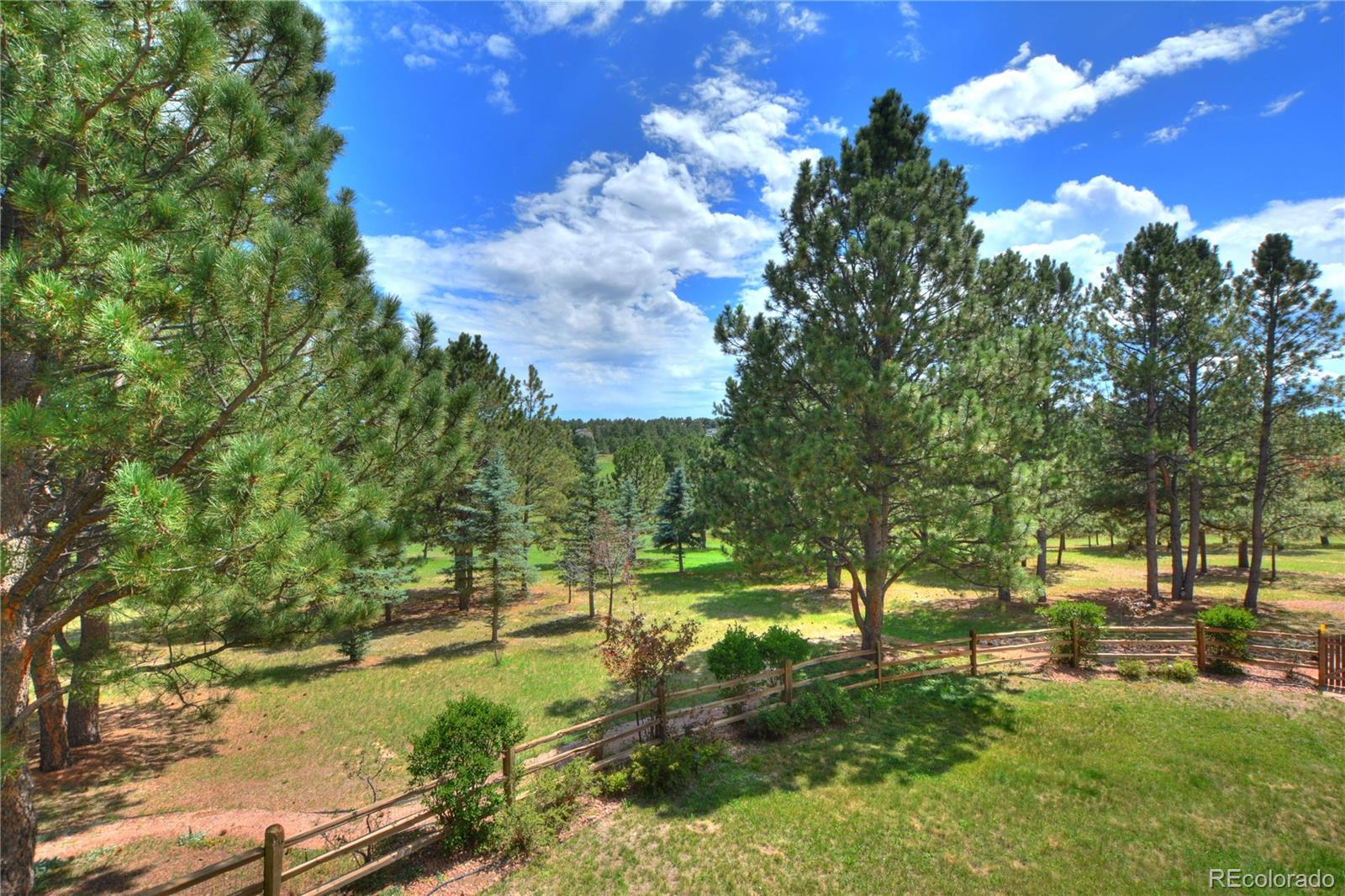 MLS Image #48 for 19315  bardsley place,monument, Colorado