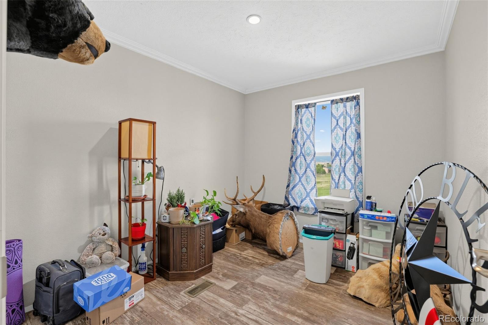 MLS Image #10 for 215 n quail court,rockvale, Colorado