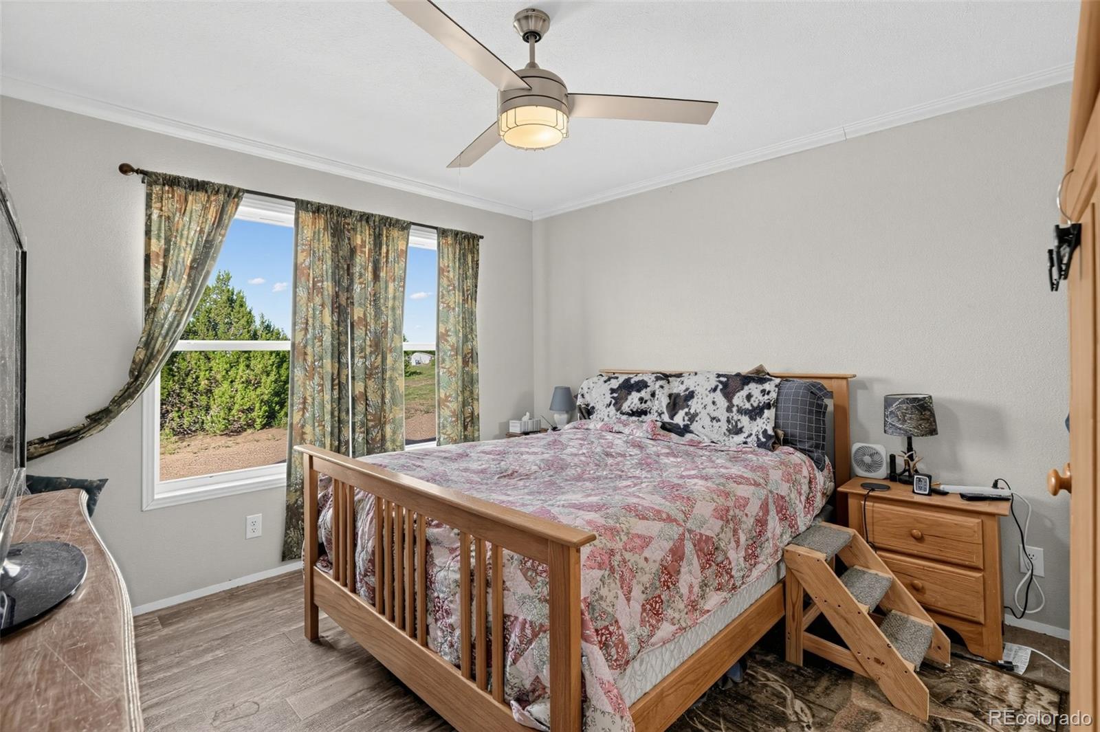 MLS Image #13 for 215 n quail court,rockvale, Colorado