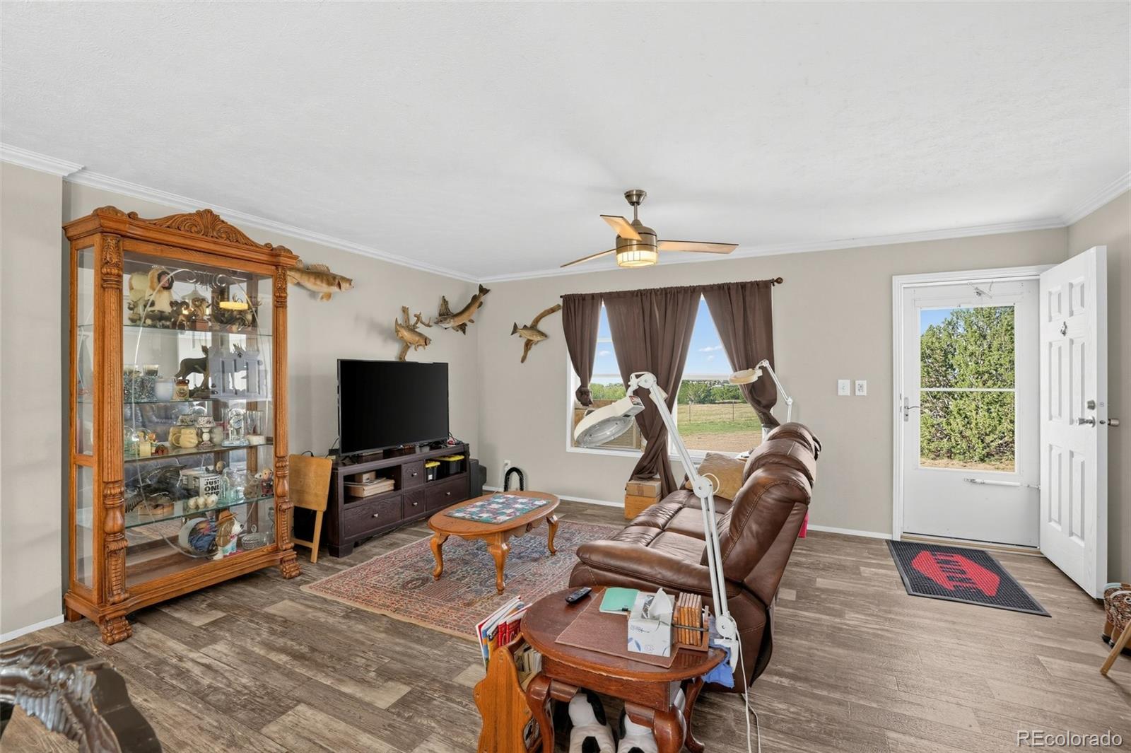 MLS Image #3 for 215 n quail court,rockvale, Colorado