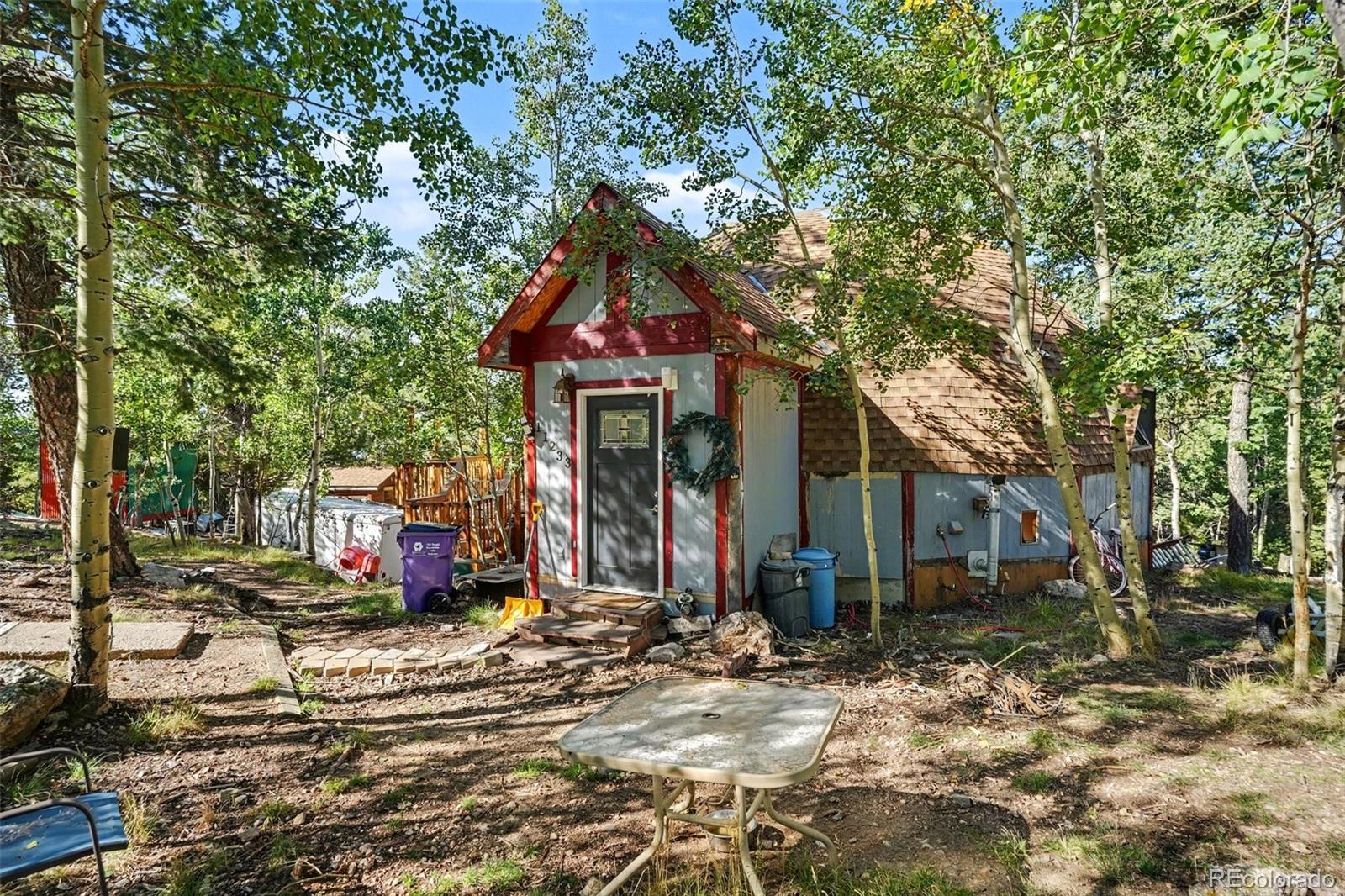 MLS Image #0 for 11233  conifer mountain road,conifer, Colorado
