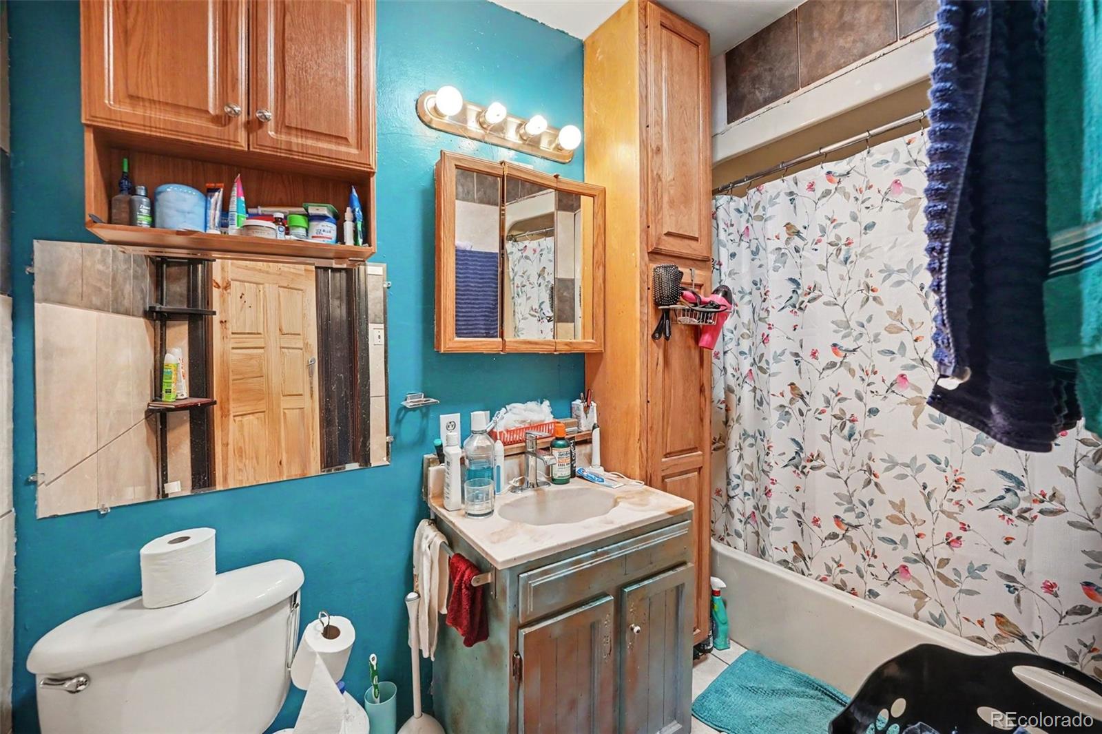MLS Image #20 for 11233  conifer mountain road,conifer, Colorado
