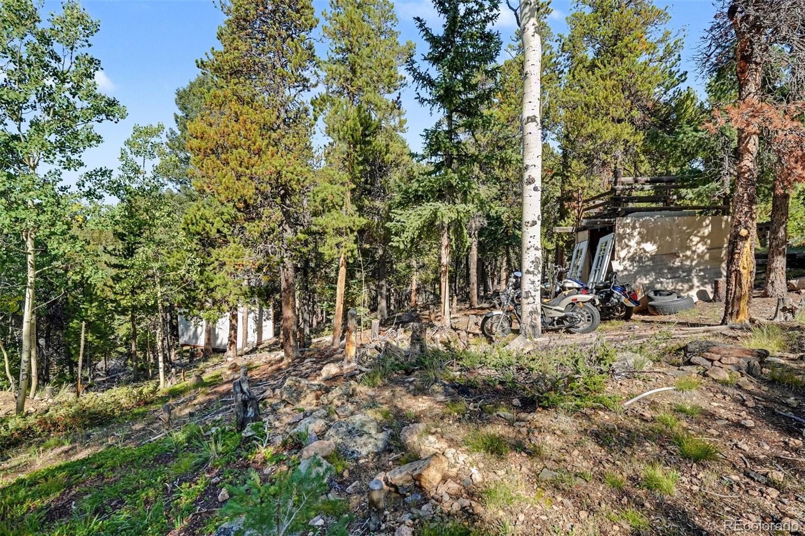 MLS Image #40 for 11233  conifer mountain road,conifer, Colorado