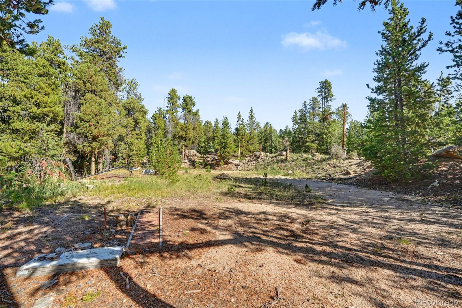 MLS Image #41 for 11233  conifer mountain road,conifer, Colorado