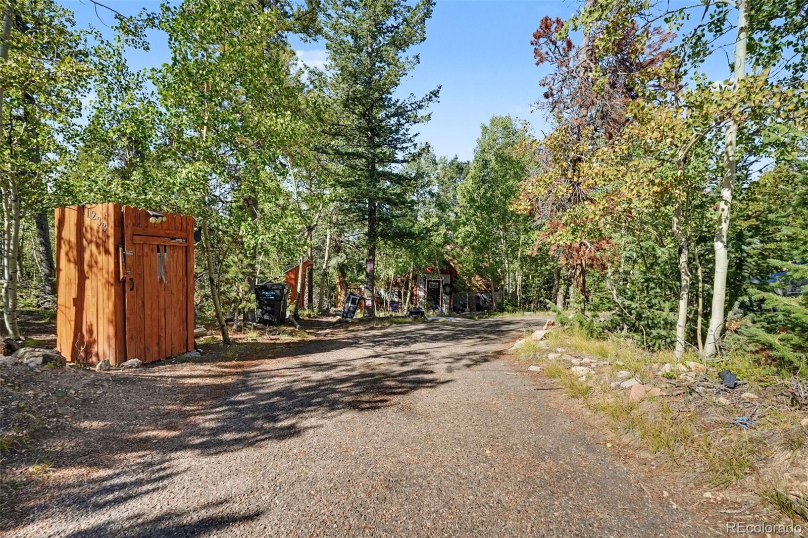 MLS Image #42 for 11233  conifer mountain road,conifer, Colorado