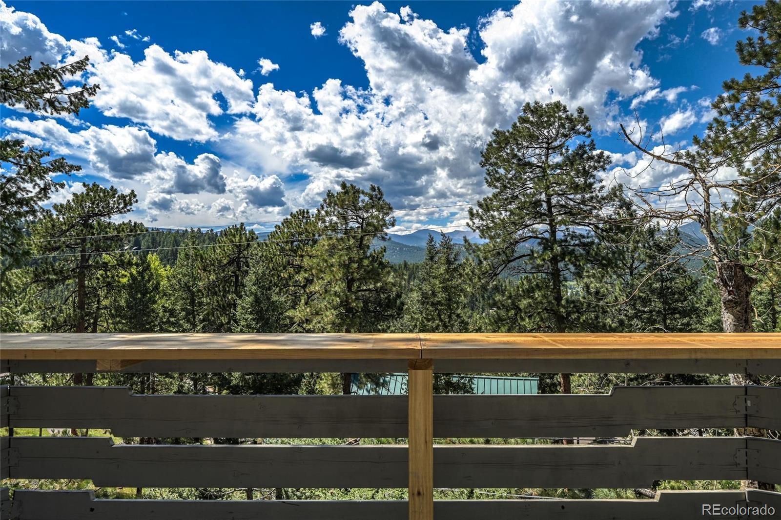 MLS Image #18 for 4620  hilltop road,evergreen, Colorado