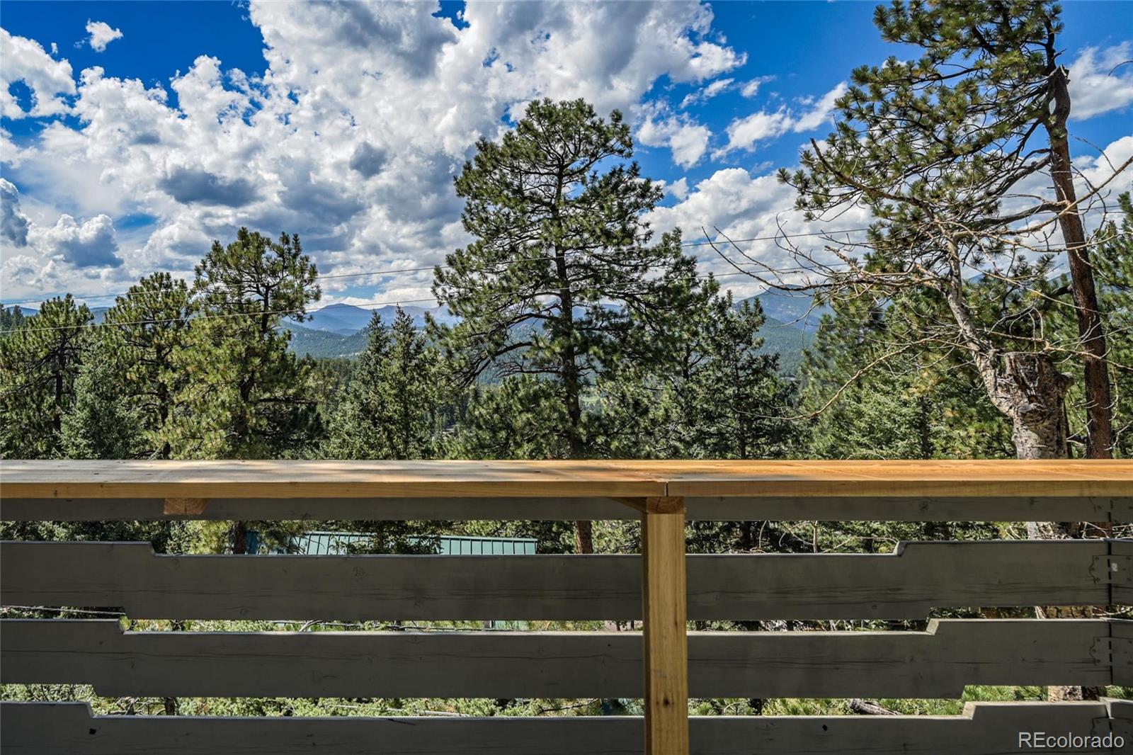 MLS Image #44 for 4620  hilltop road,evergreen, Colorado