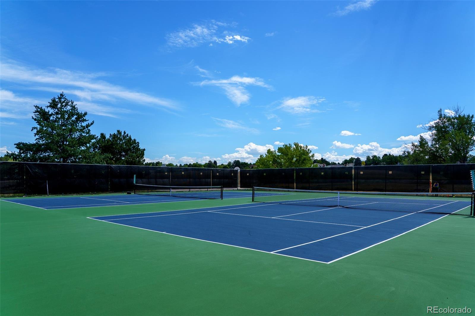 MLS Image #37 for 3147 e long circle,littleton, Colorado