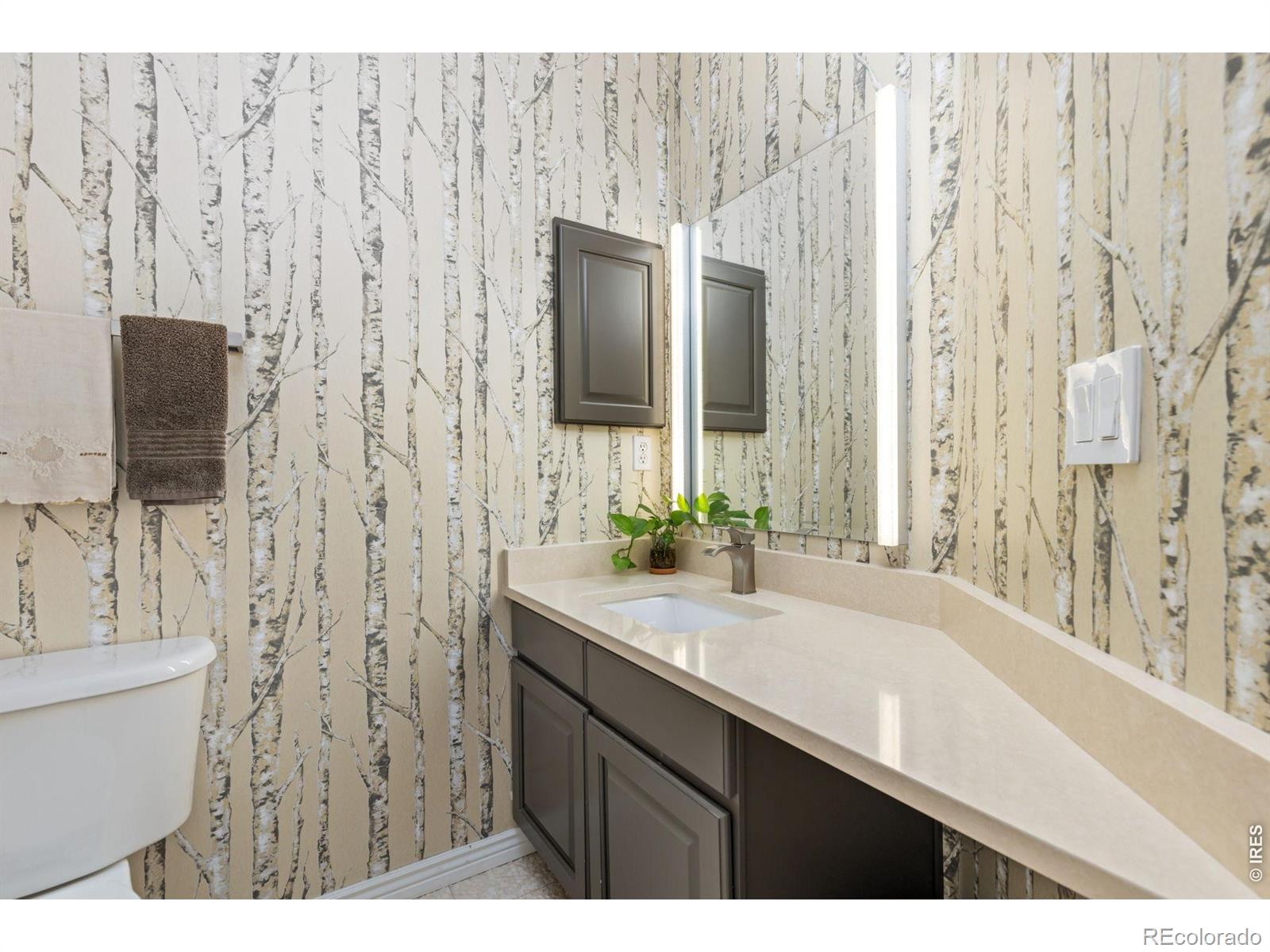MLS Image #22 for 669  wild ridge lane,lafayette, Colorado