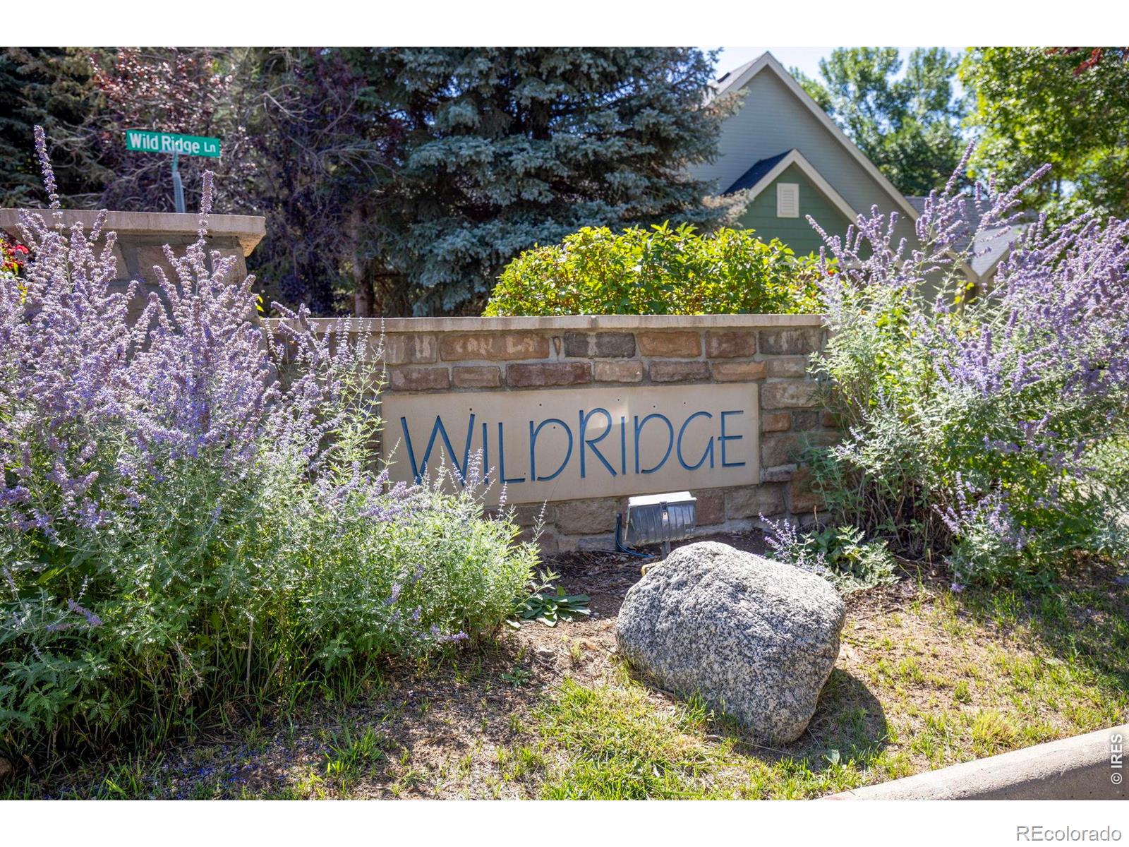 MLS Image #38 for 669  wild ridge lane,lafayette, Colorado