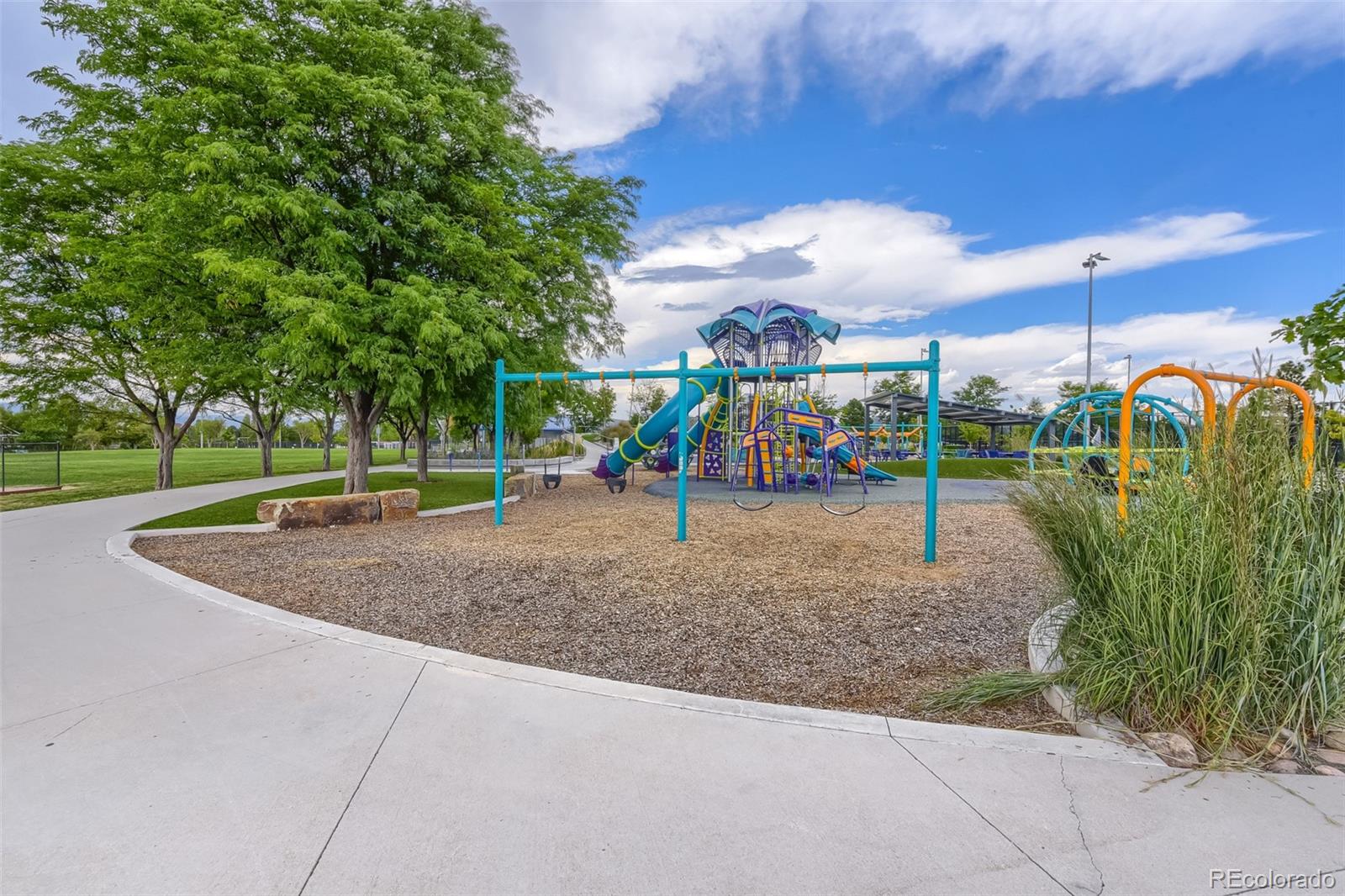 MLS Image #27 for 4969  golden valley trail,castle rock, Colorado