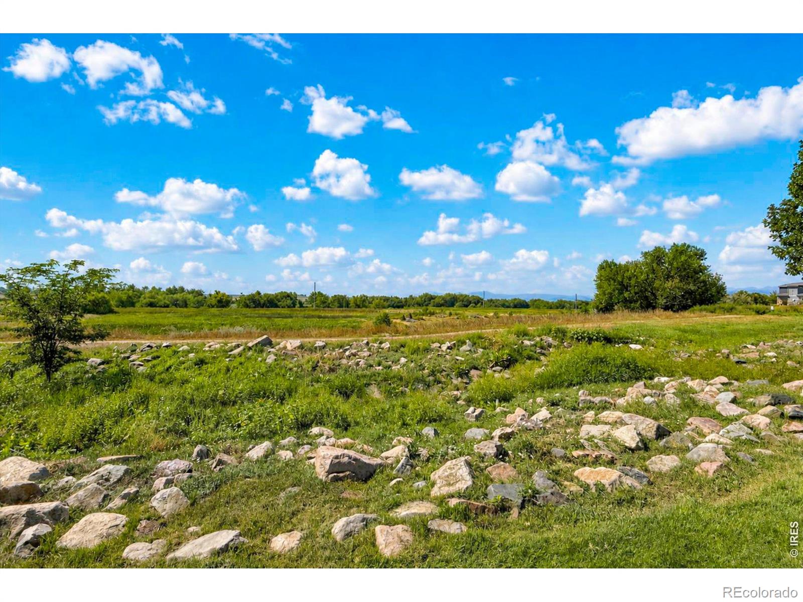 MLS Image #33 for 1601  great western drive,longmont, Colorado