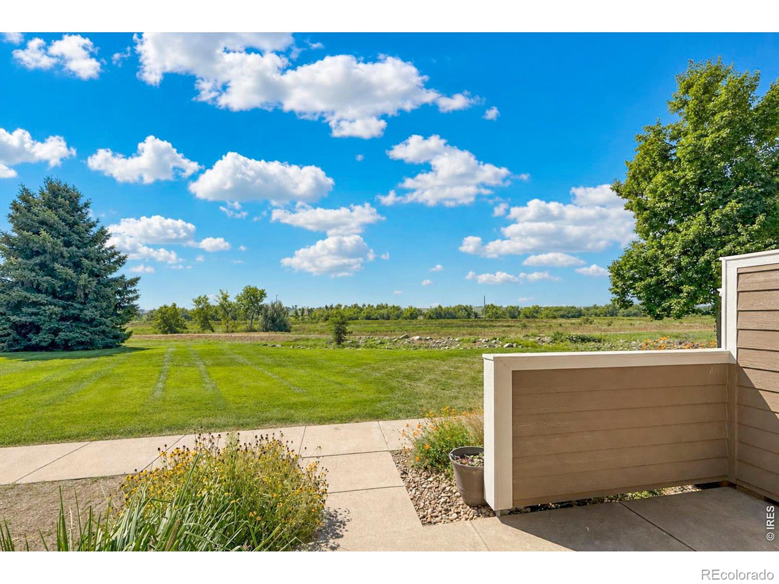 MLS Image #5 for 1601  great western drive,longmont, Colorado