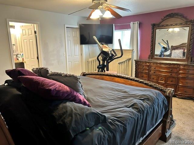 MLS Image #11 for 832  dove avenue ,brighton, Colorado