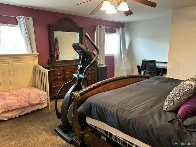 MLS Image #12 for 832  dove avenue ,brighton, Colorado
