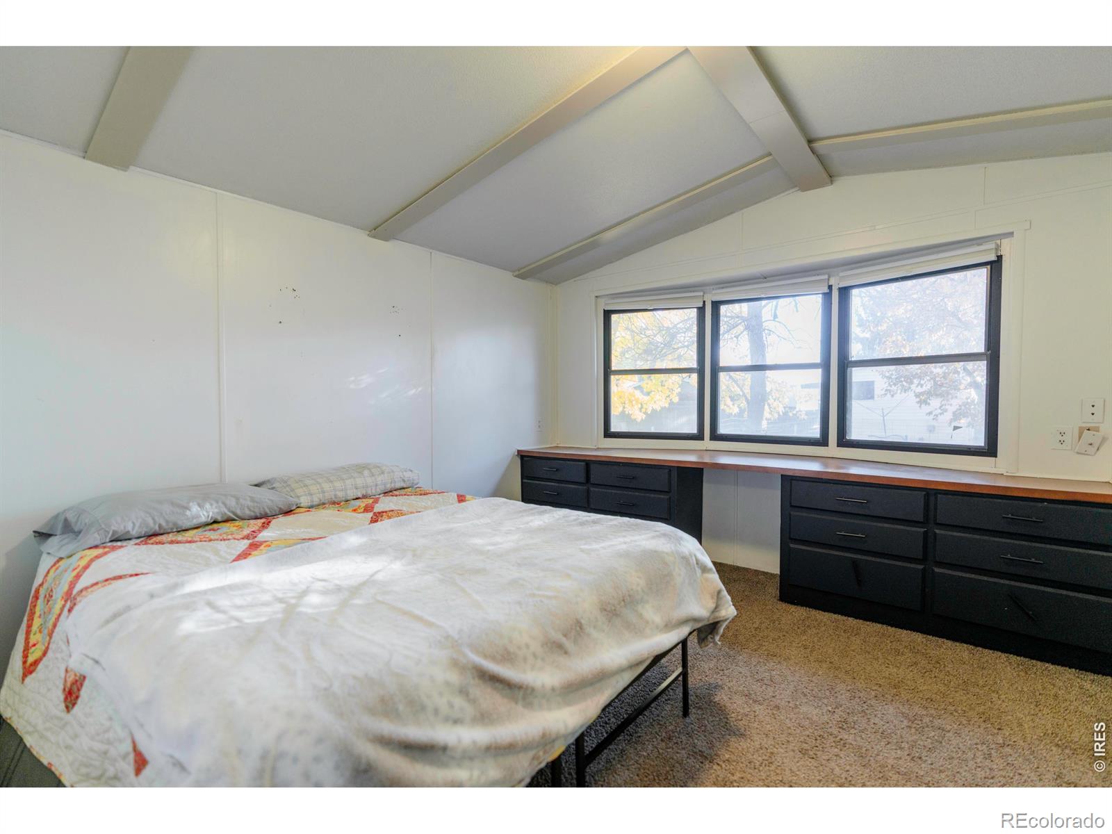 MLS Image #10 for 2720  mallow place,loveland, Colorado