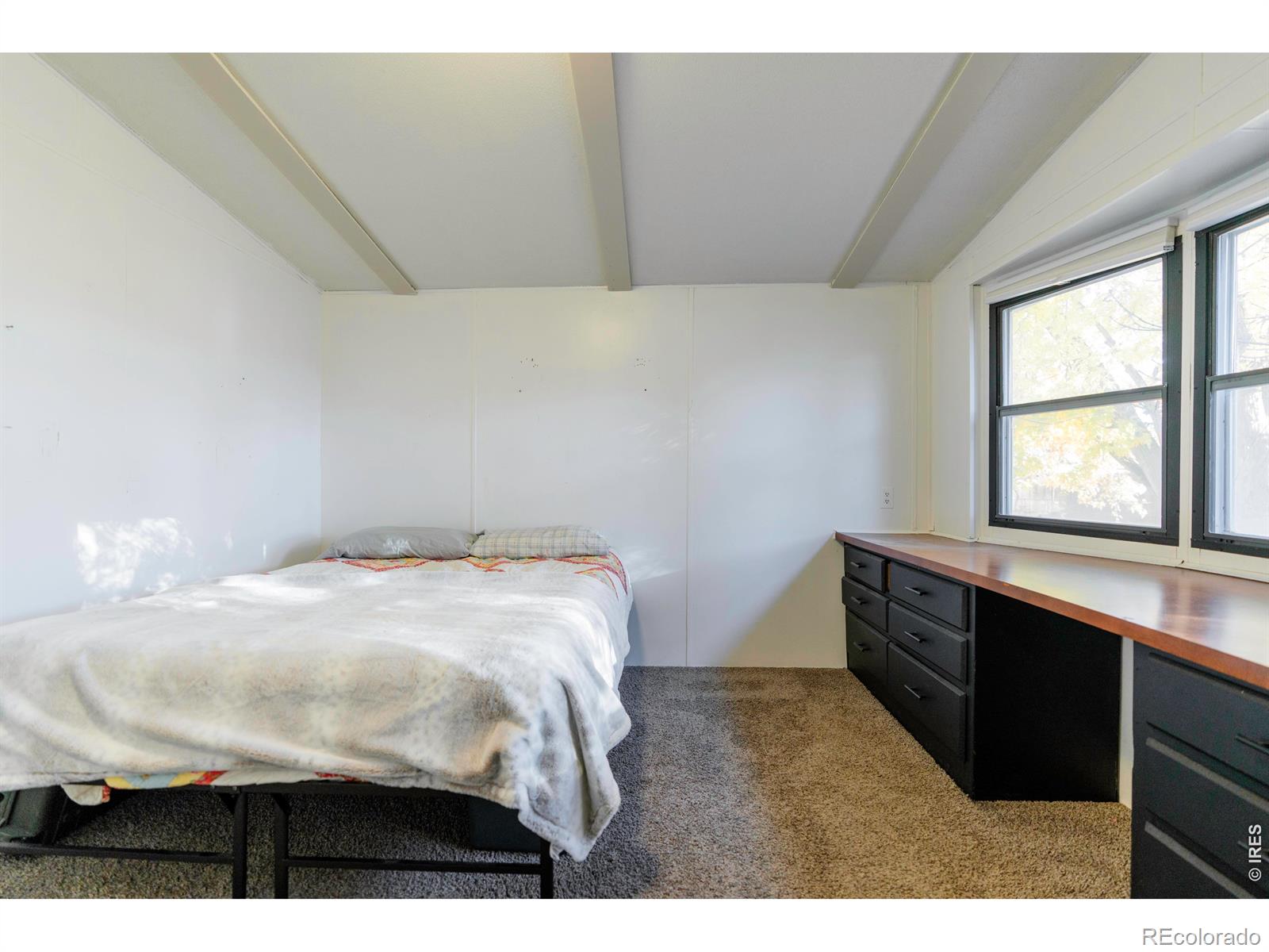 MLS Image #11 for 2720  mallow place,loveland, Colorado