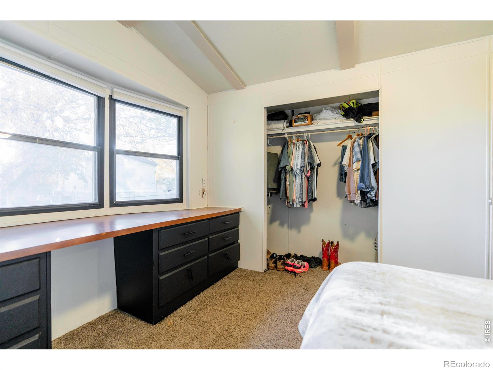 MLS Image #12 for 2720  mallow place,loveland, Colorado