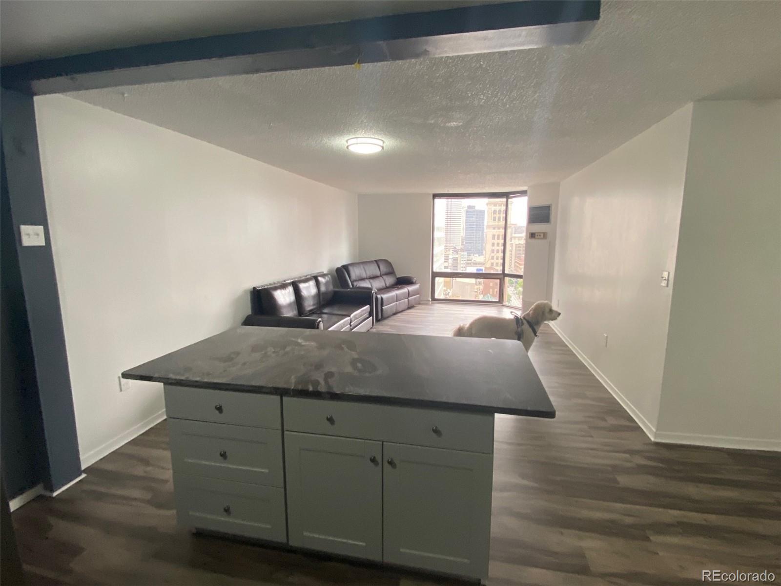 MLS Image #5 for 1625  larimer street,denver, Colorado