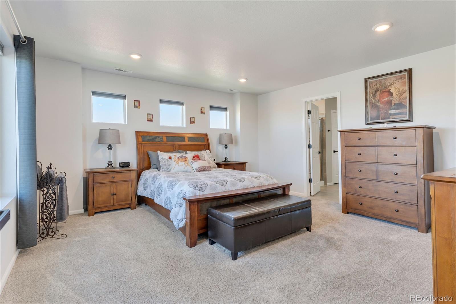 MLS Image #13 for 3972  santa fe court,brighton, Colorado