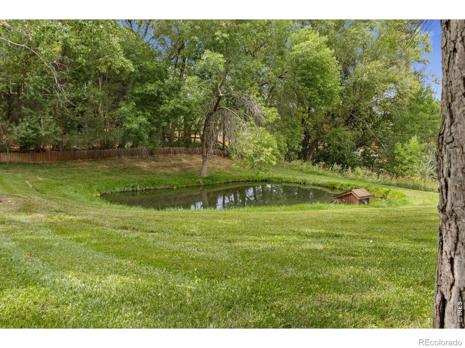 MLS Image #41 for 5153  single tree drive,loveland, Colorado