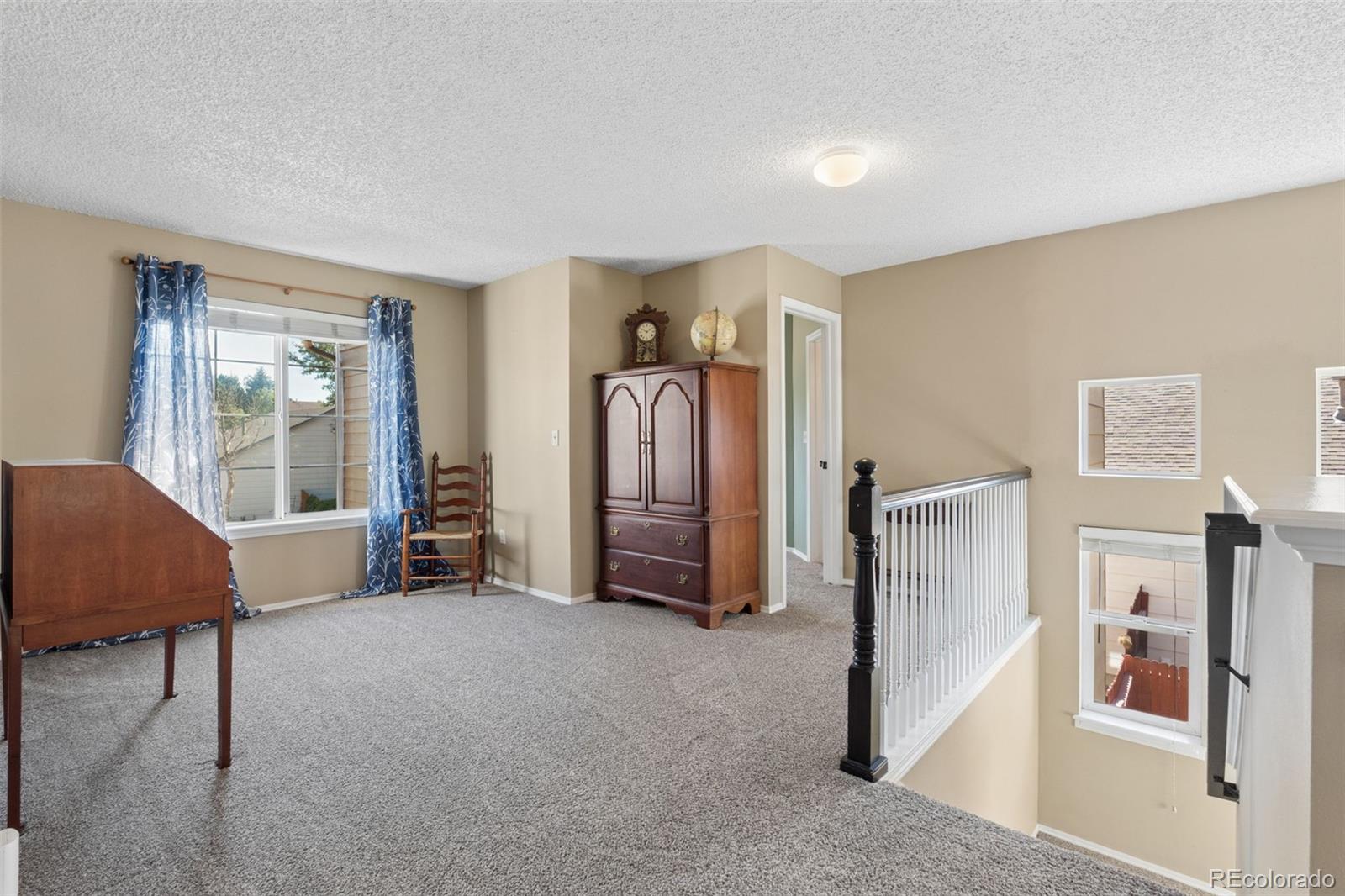 MLS Image #14 for 5047  hawk springs drive,colorado springs, Colorado