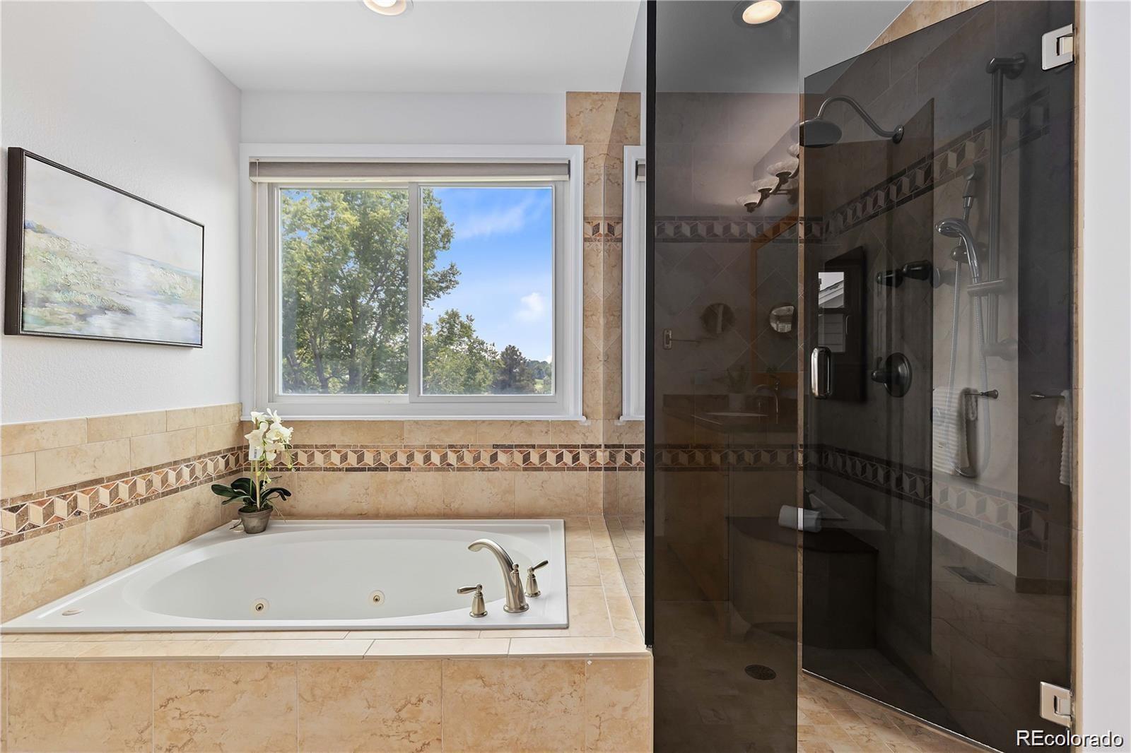 MLS Image #25 for 8642  canongate lane,highlands ranch, Colorado