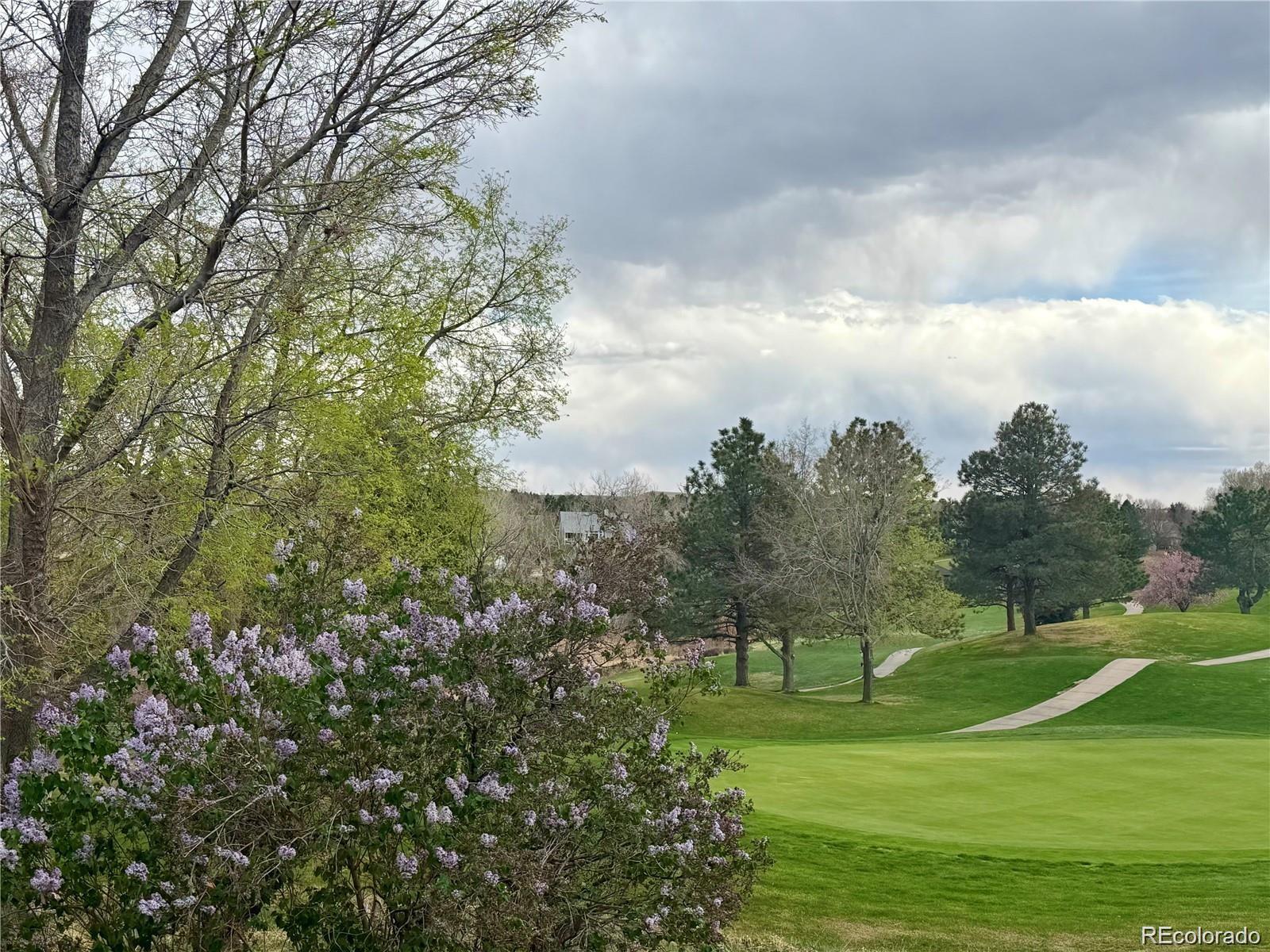 MLS Image #42 for 8642  canongate lane,highlands ranch, Colorado