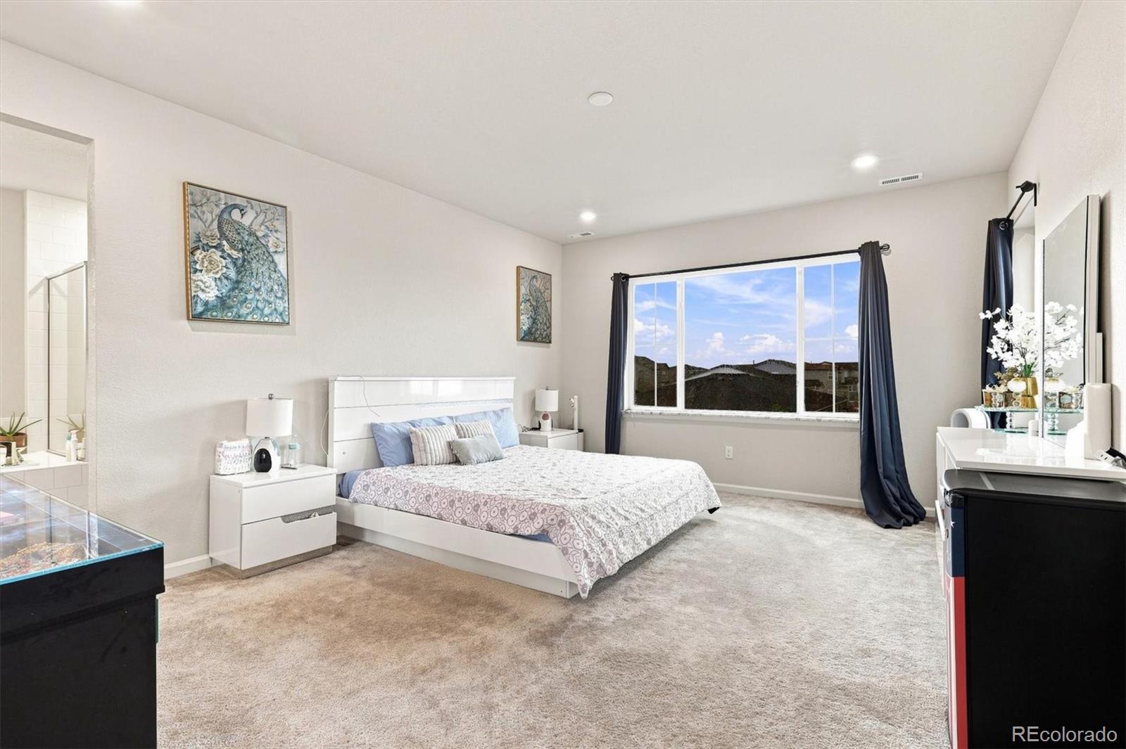 MLS Image #21 for 3433 n gold bug court,aurora, Colorado