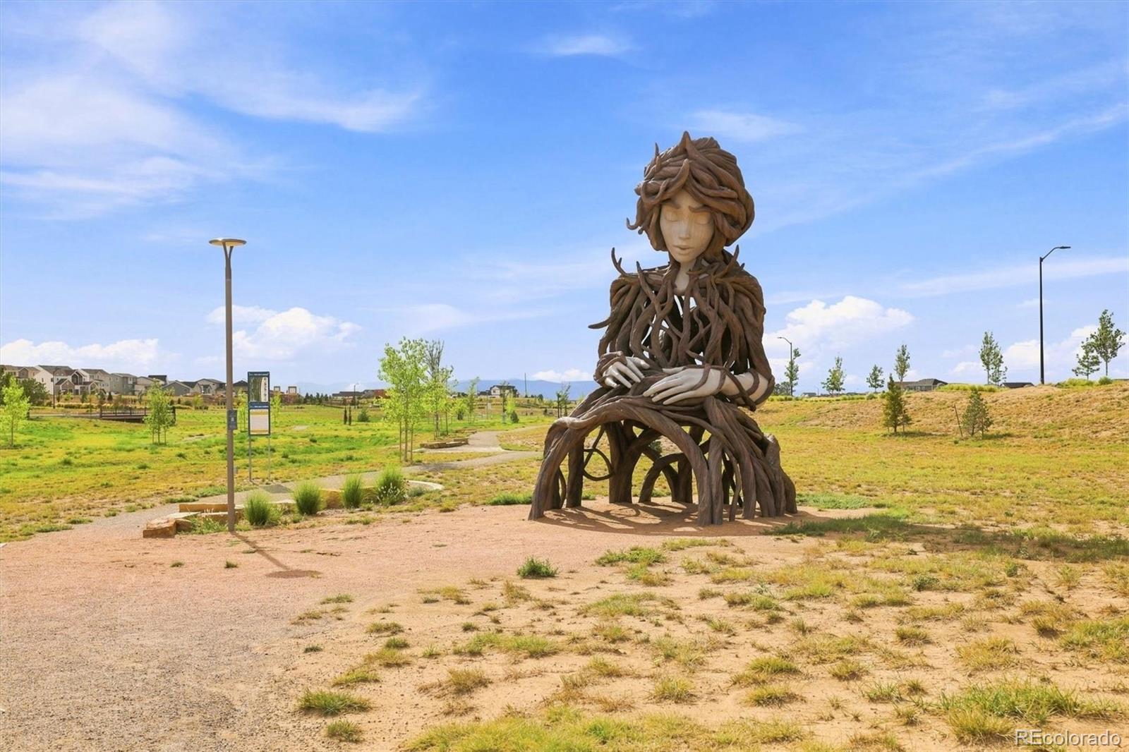 MLS Image #46 for 3433 n gold bug court,aurora, Colorado
