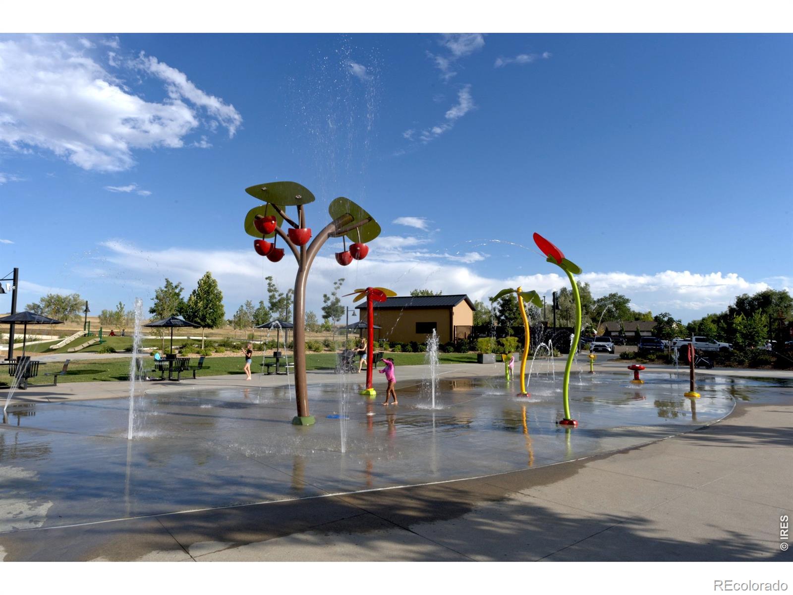 MLS Image #39 for 836  kattell court,erie, Colorado