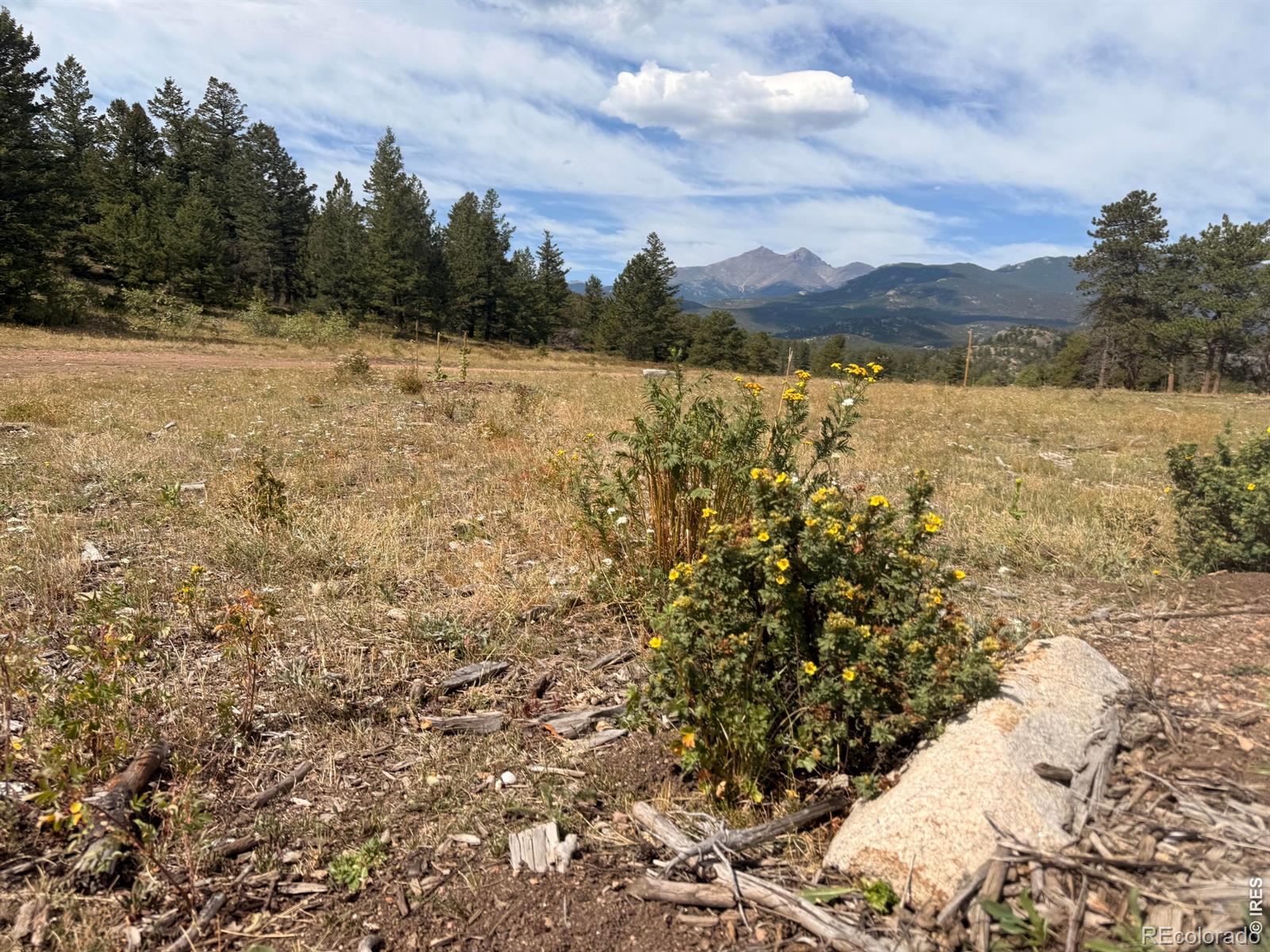 MLS Image #49 for 745  hickory drive,lyons, Colorado