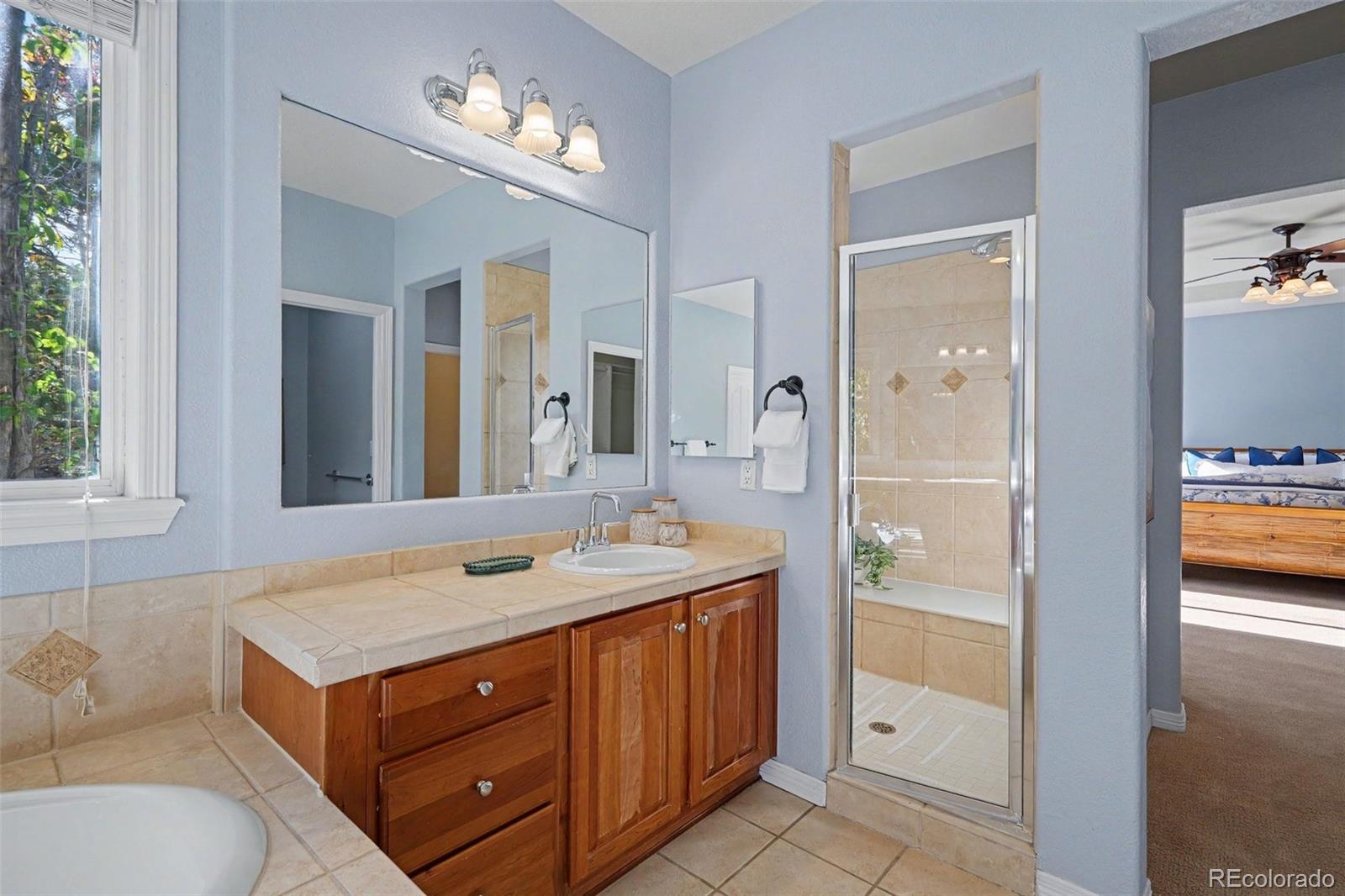 MLS Image #21 for 2554  pemberly avenue,highlands ranch, Colorado